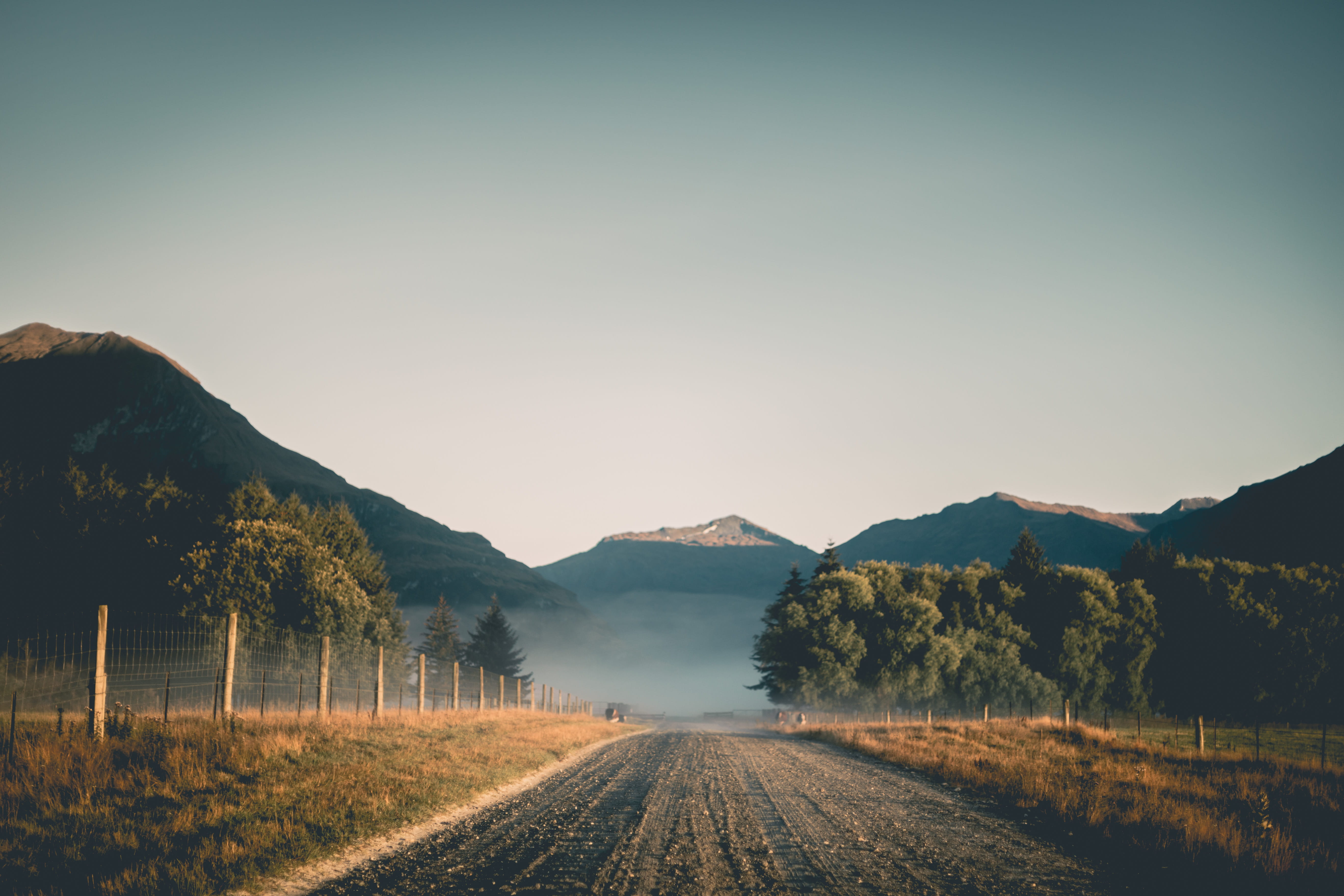 mountain range, trees, tranquility, sky, copy space, diminishing perspective, environment, plant, wanaka, 5K, no people, road, tranquil scene, landscape, HD Wallpaper