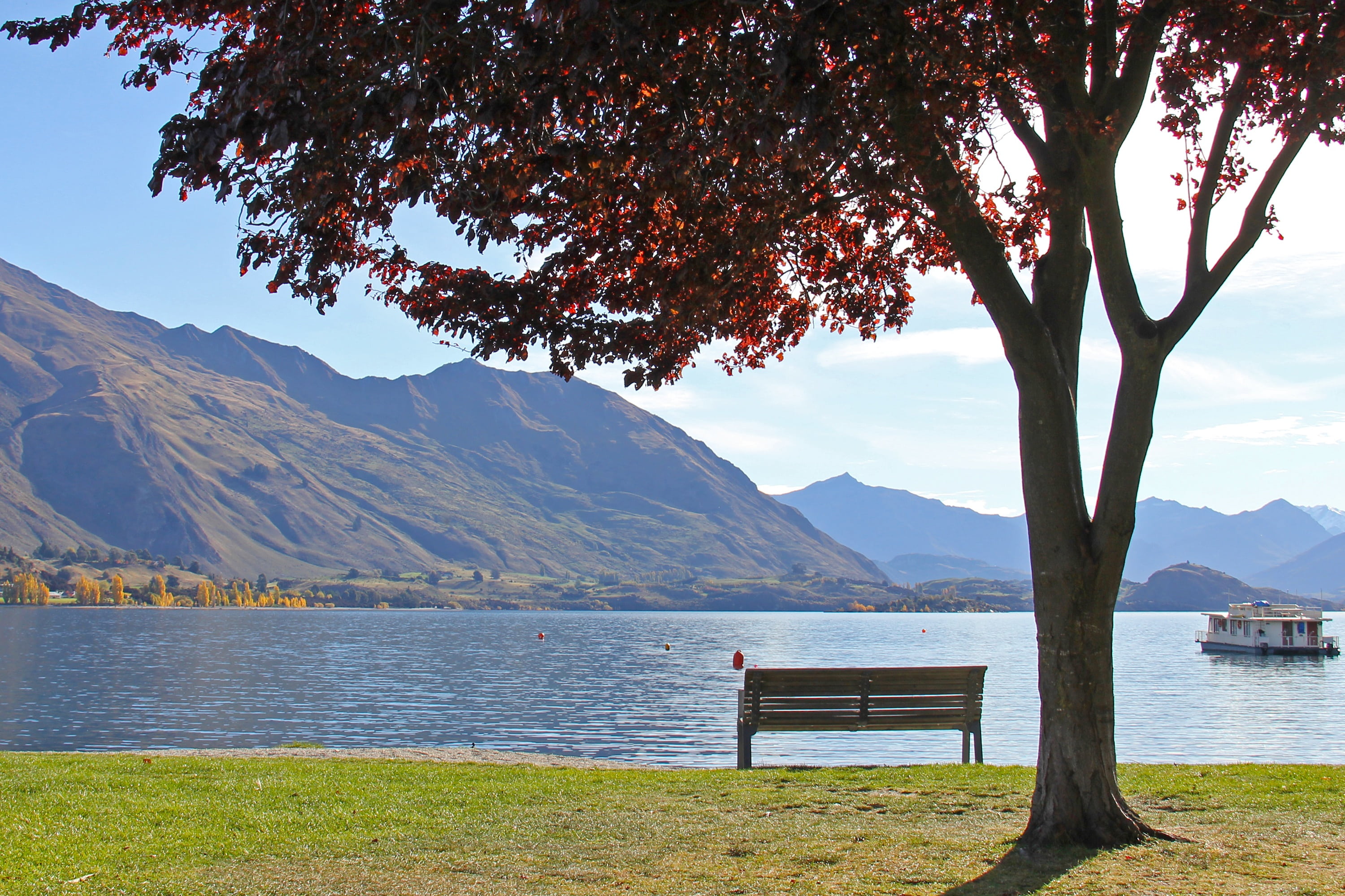 lake, grass, park bench, mountain range, water, beautiful, 2K, seat, no people, day, beauty, beauty in nature, near, mountain, outdoors, new zealand, tree, HD Wallpaper