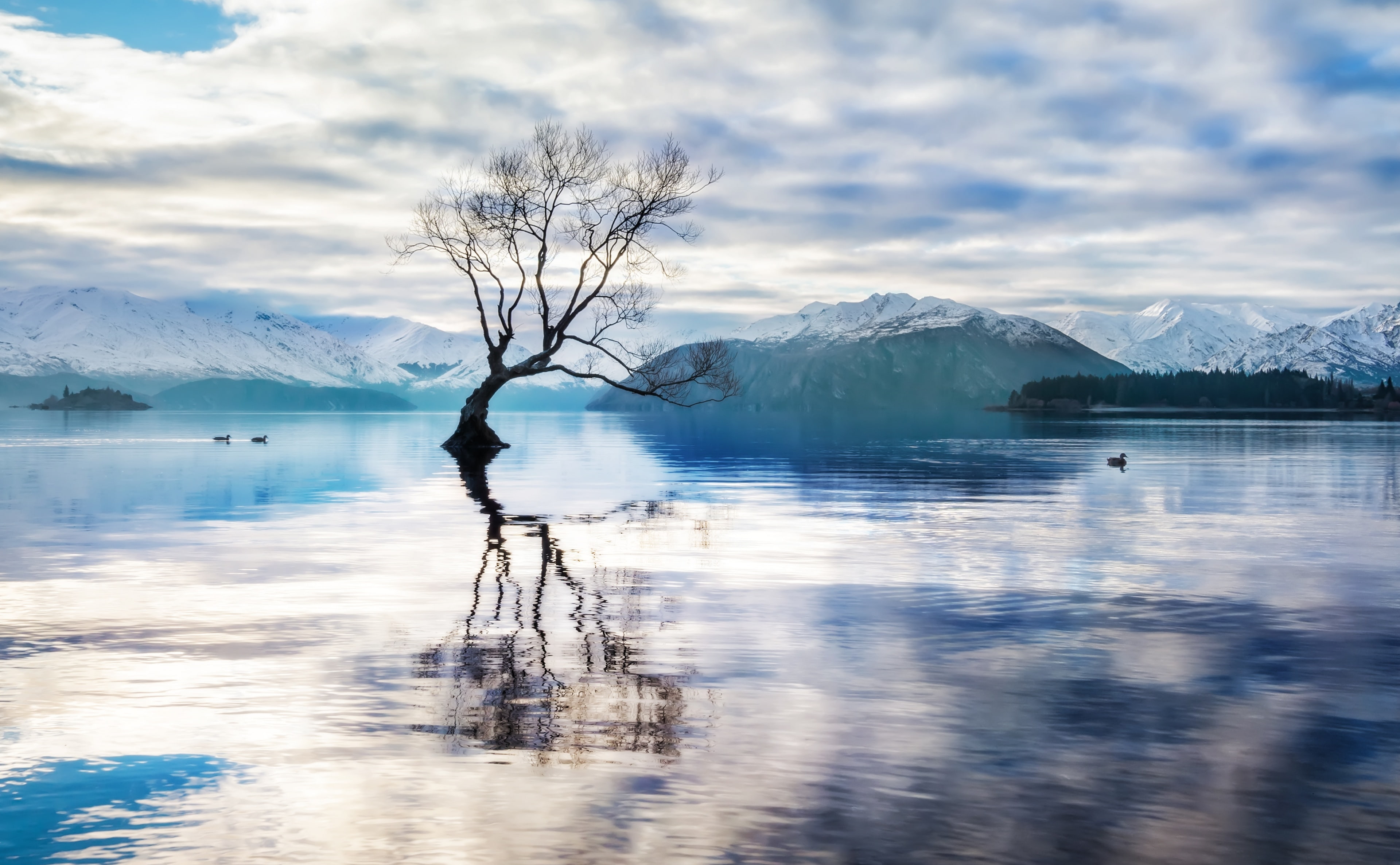Reflection, 4K, Gorgeous, digital, body, cloud - sky, Winter, bare tree, non-urban scene, sky, around, outdoors, Wanaka, mountain range, plant, HD Wallpaper