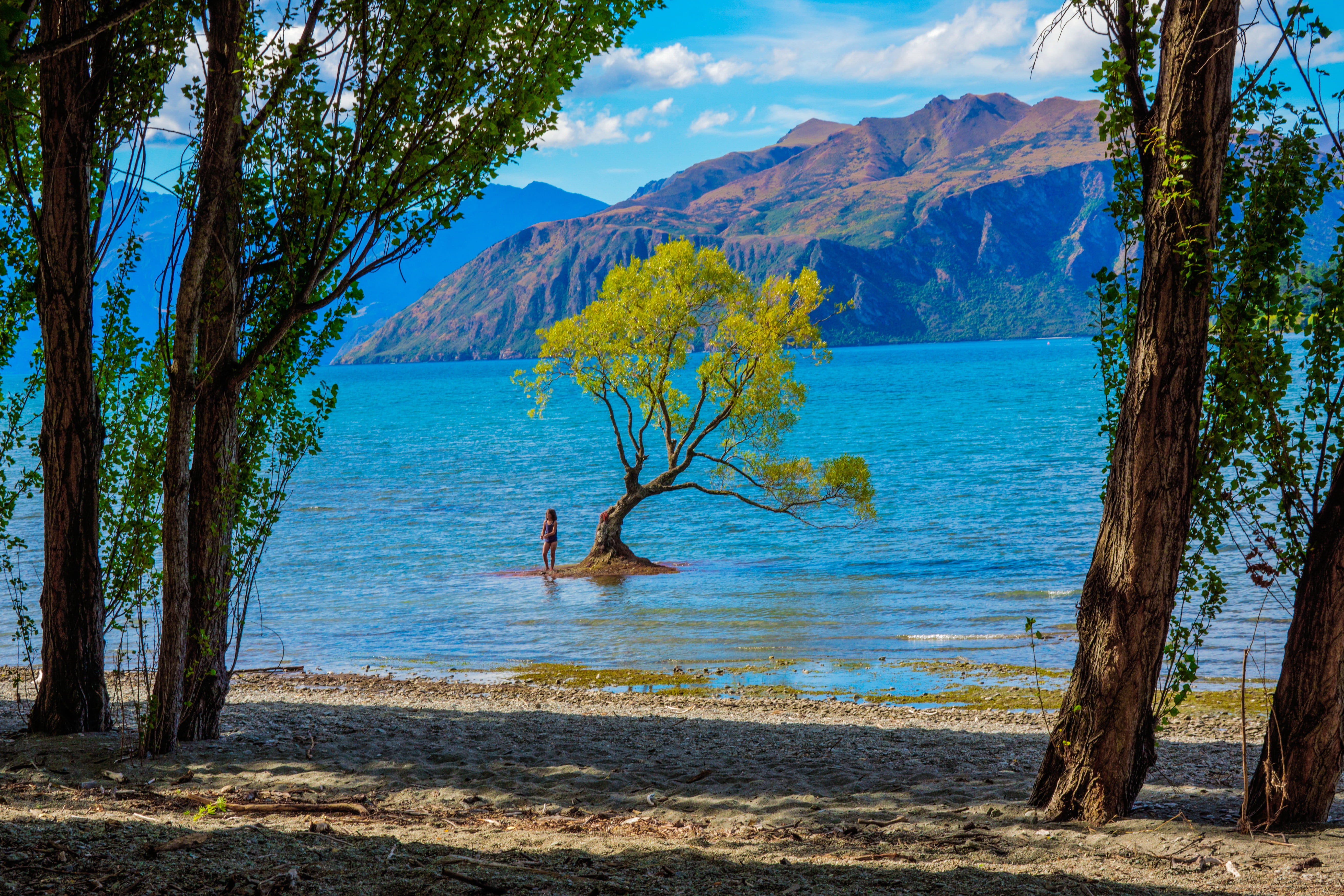 landscape, tranquil scene, surrounded, 5K, water, wilderness, wild, outdoor, land, tranquility, tranquil, new zealand, body of water, scenics, outdoors, HD Wallpaper