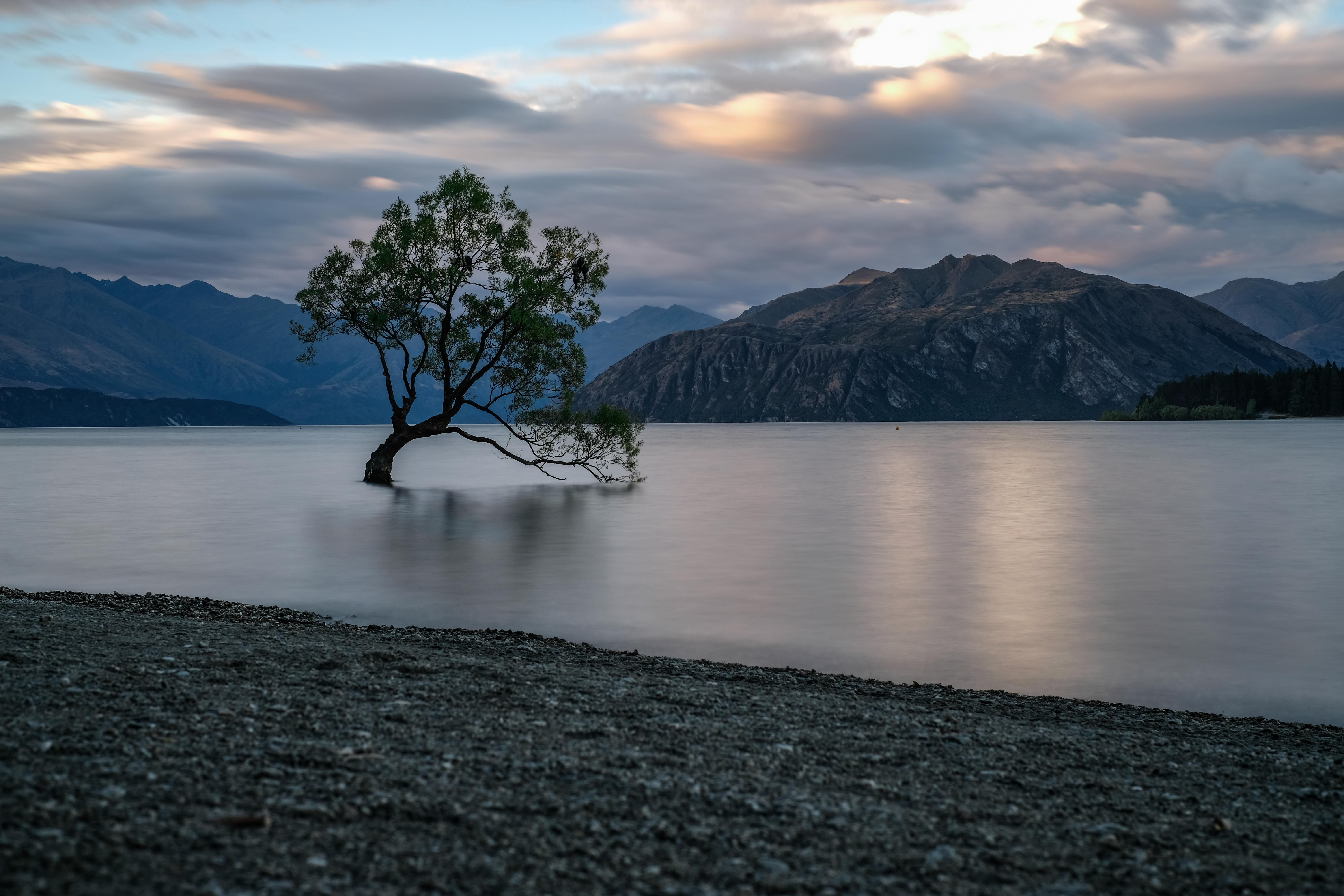 beauty in nature, waterfront, plant, forest, river, mountain range, 5K, new zealand, idyllic, mountain, no people, reflection, non-urban scene, water, HD Wallpaper