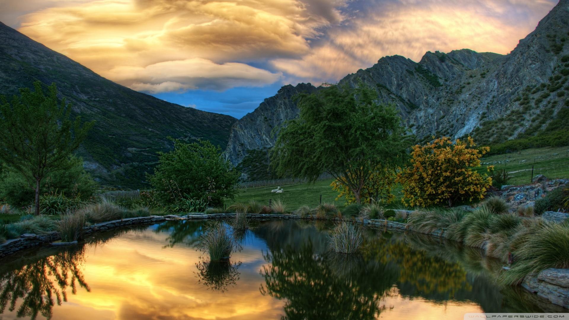 trees, new, pond, 1080P, gibbston, mountains, pasture, nature and landscapes, zeal, HD Wallpaper