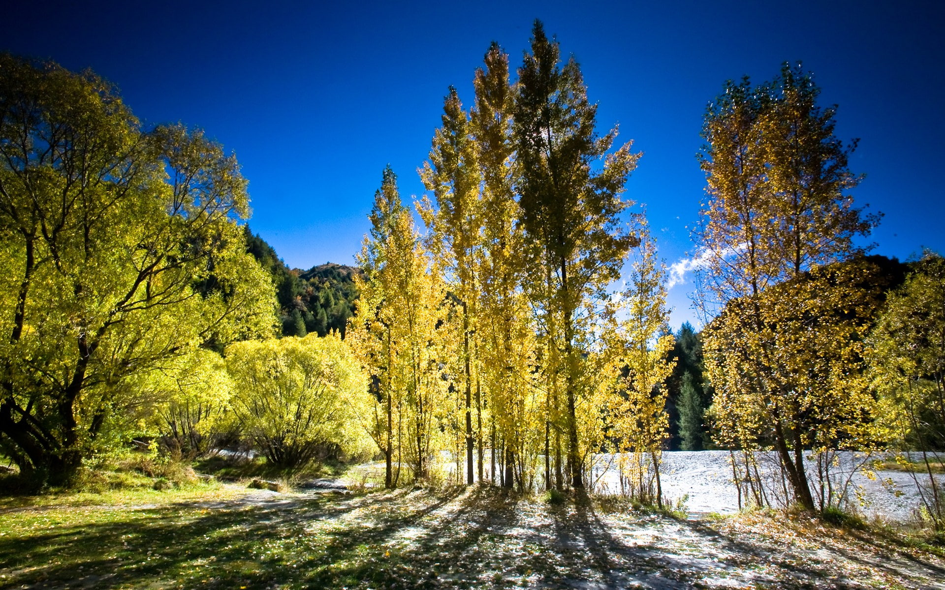 autumn, 1080P, zeal, zealand, new, HD Wallpaper