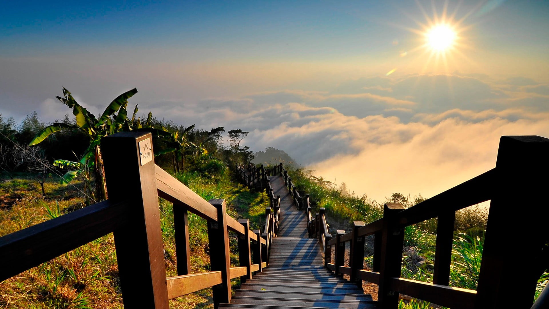 beauty In Nature, ladder, stairs, green Color, tranquil Scene, scenics, outdoors, tranquility, landscape, the way forward, sunset, sea, idyllic, dusk, clouds, HD Wallpaper