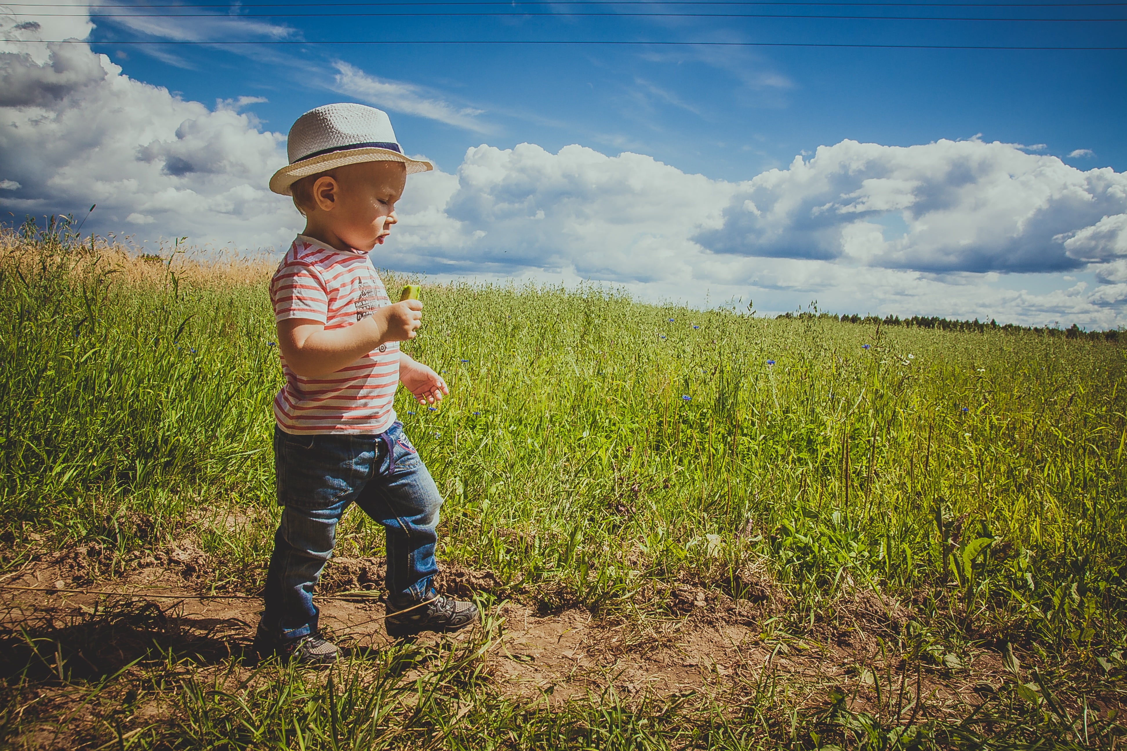 agriculture, landscape, baby, one boy only, real people, boy, daytime, land, summer, child, innocence, grass, green meadow, 4K, field, road, full length, HD Wallpaper