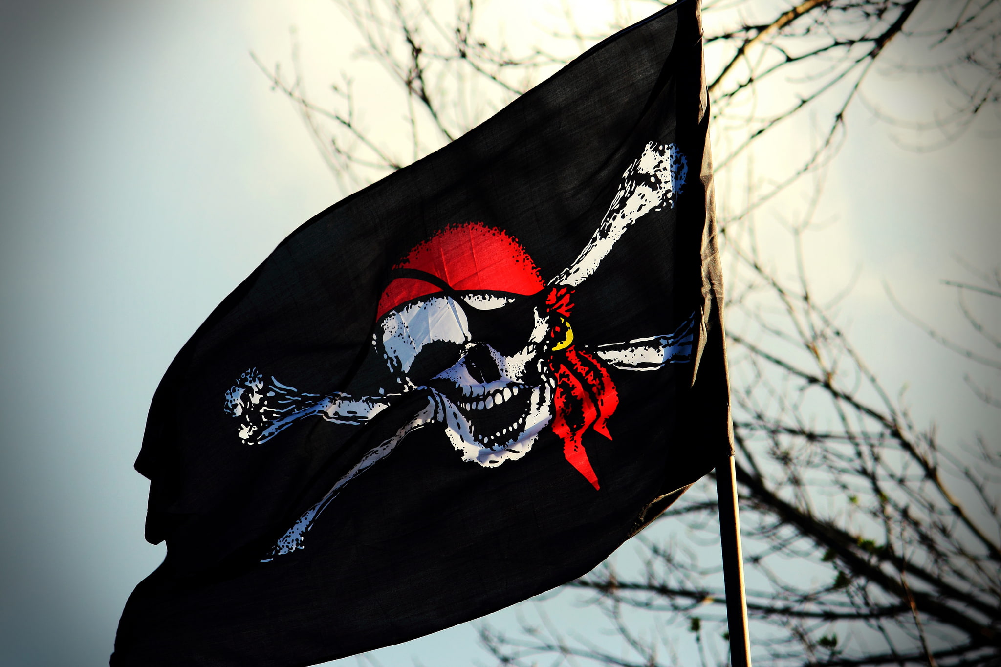 celebration, backgrounds, red, clothing, human skeleton, costume, no people, skull, nature, halloween, people, Jolly Roger, dead, day, human Face, mask - disguise, HD Wallpaper