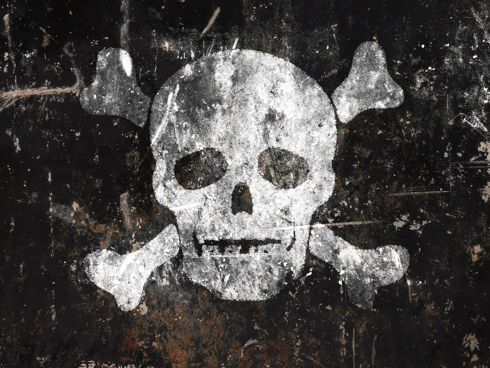720P, Jolly Roger, Flags, Pirate, HD Wallpaper