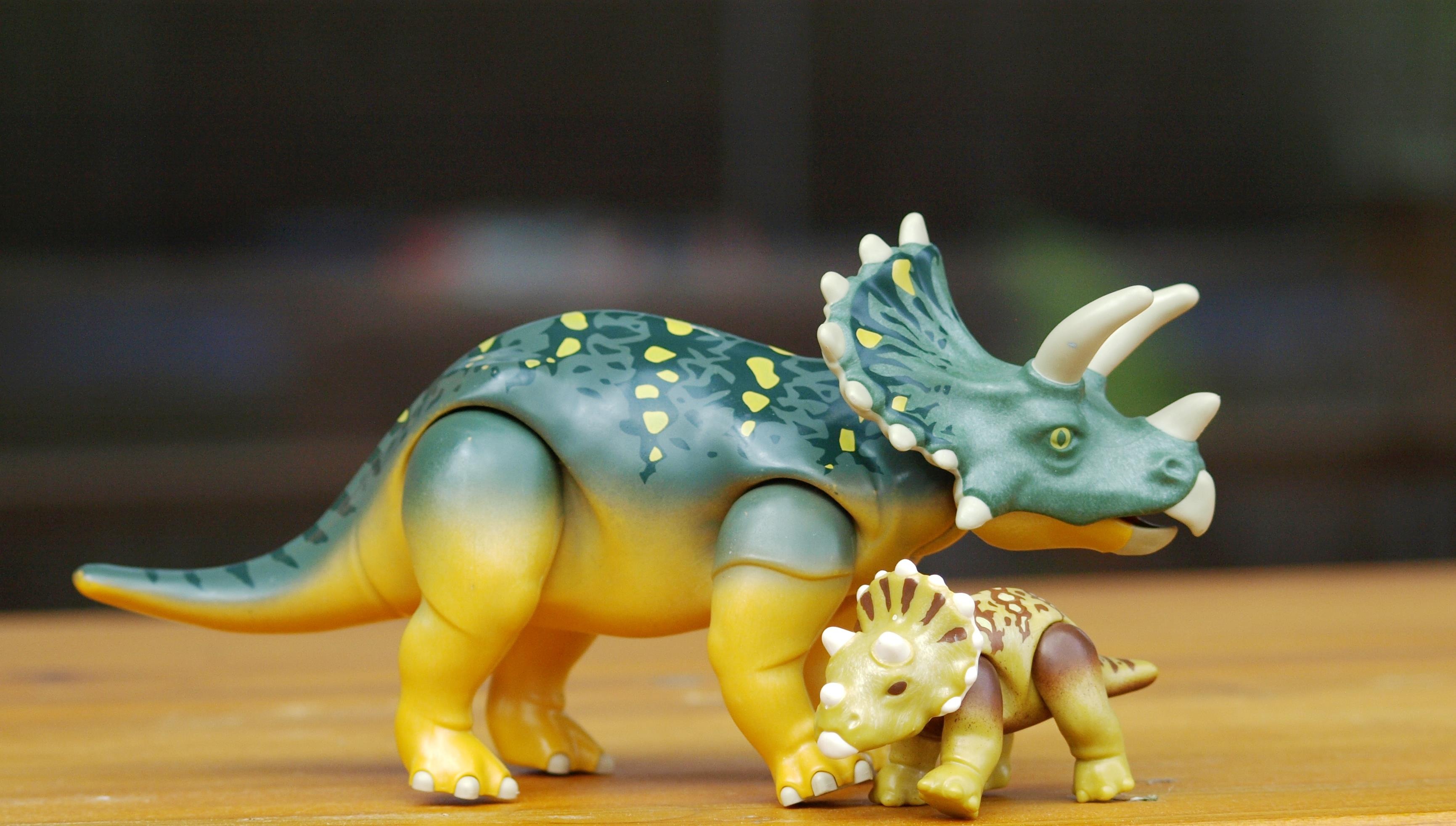 surface, mammal, figurine, art and craft, green, brown, dino, playmobil, baby, toy animal, dinosaur, representation, 2K, focus on foreground, triceratops, HD Wallpaper