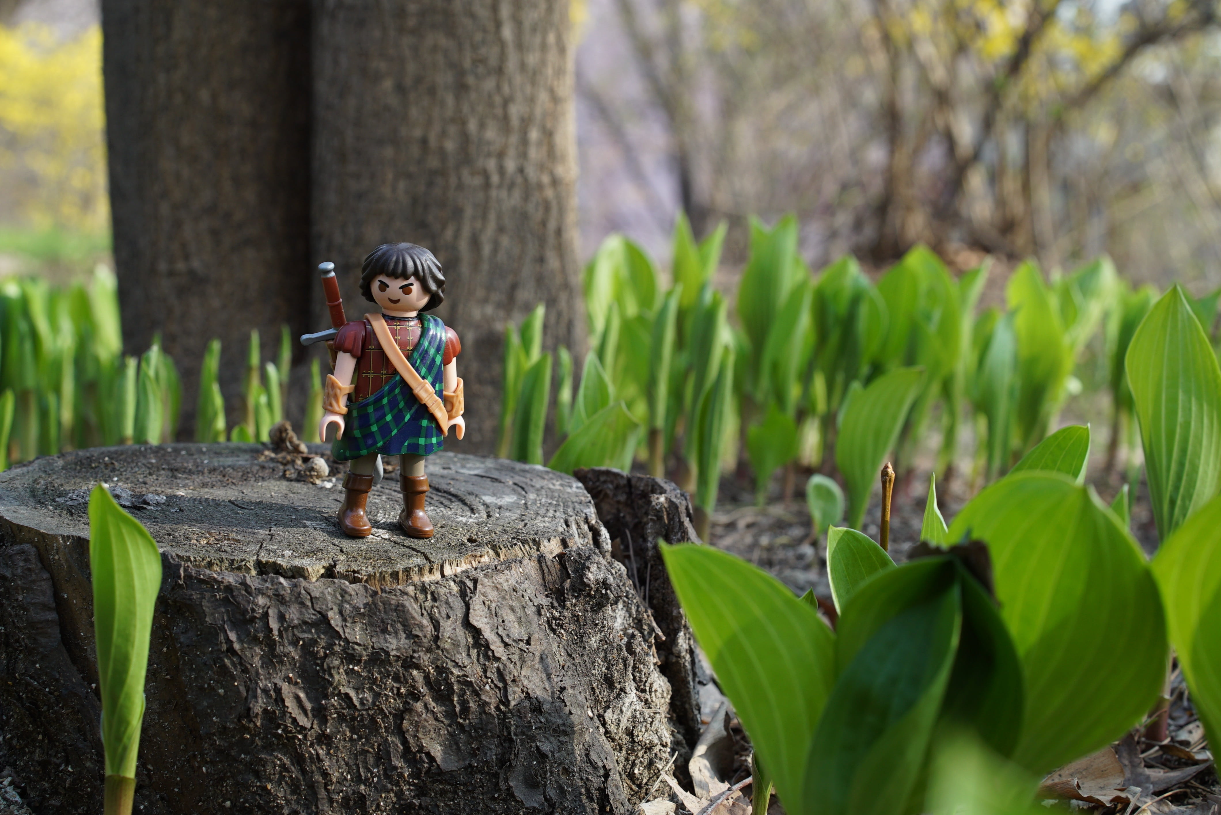 adventure, side view, one person, smiling, full length, offspring, trunk, explore, innocence, tree stump, outdoors, flower gardens, inspection, trail, day, HD Wallpaper