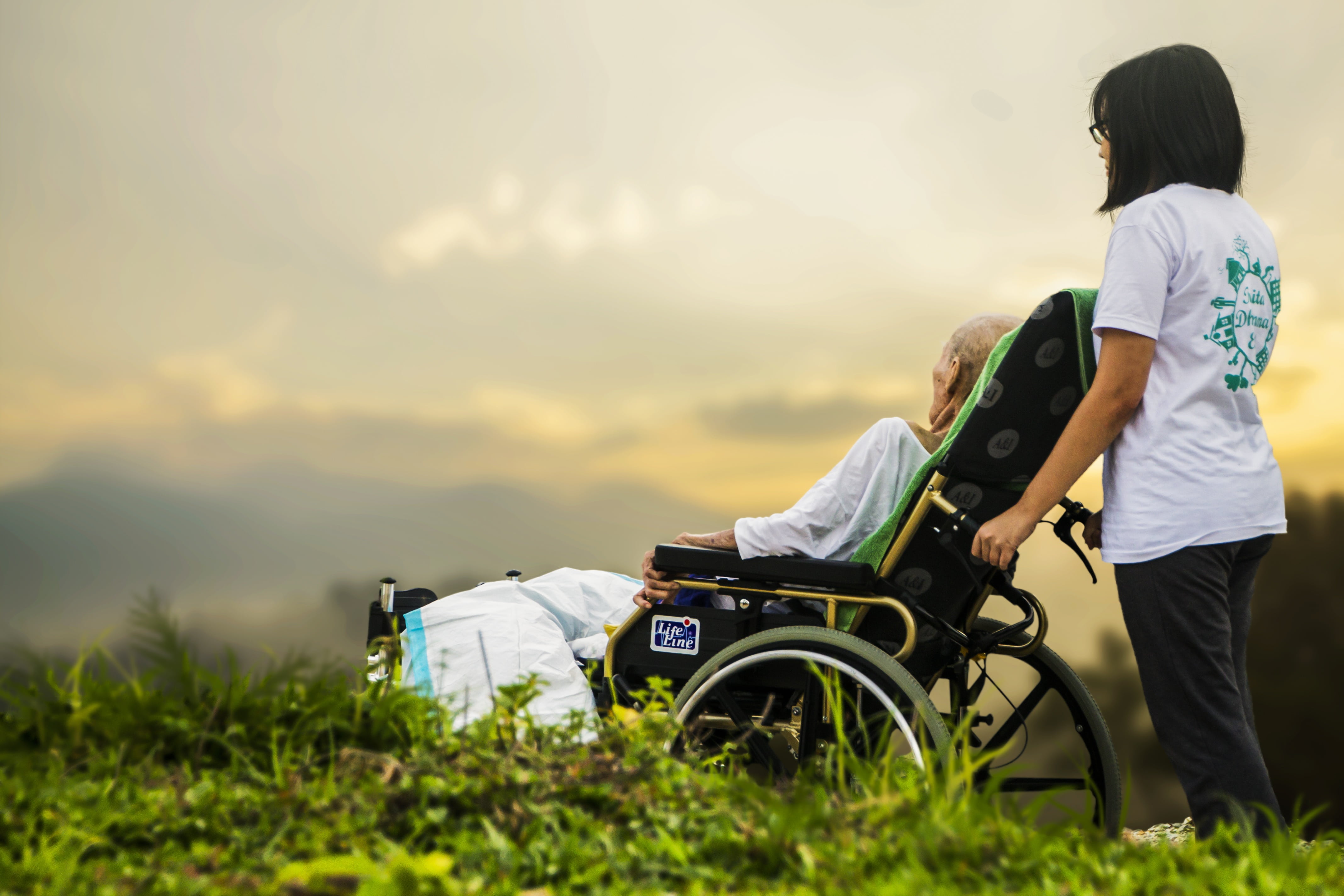 disease, people, handicap, patient, mode of transportation, old, men, wheelchair, nature, elder care, rear view, casual clothing, care, real people, aged, HD Wallpaper
