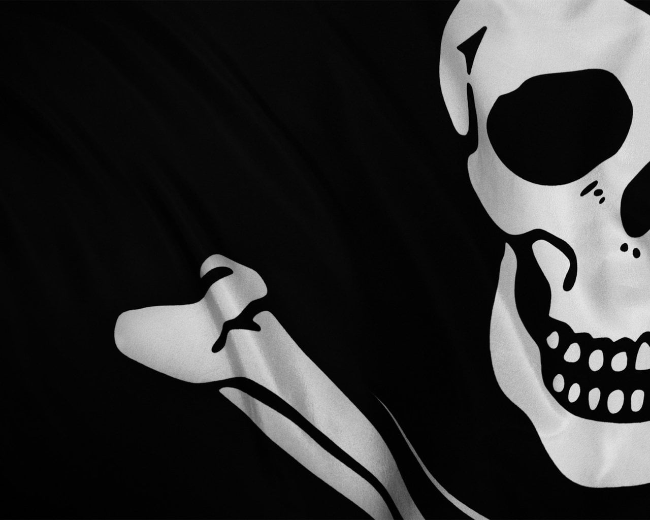 white color, crossbones, human representation, indoors, healthcare and medicine, no people, bone, skeleton, studio shot, black, single object, white, 720P, HD Wallpaper