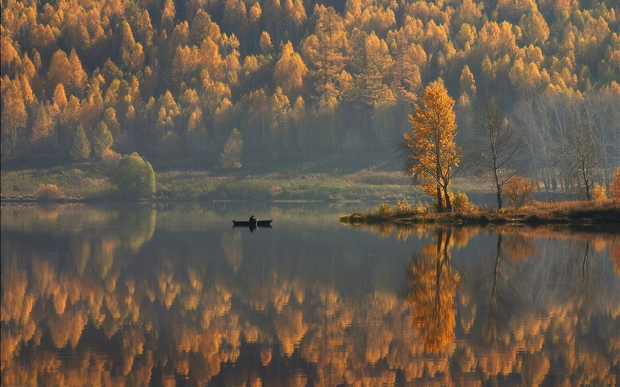 lake, no people, yellow, tranquil scene, tree, landscape, boat, beauty in nature, non-urban scene, forest, waterfront, leaf, orange, day, calm, autumn, HD Wallpaper