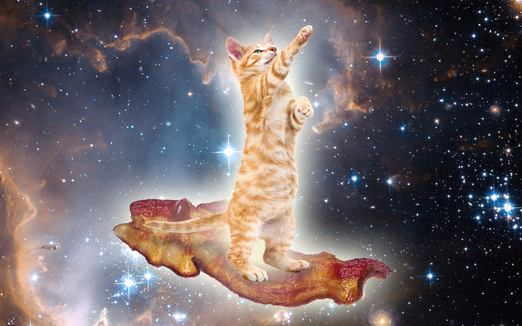 mid-air, domestic, 720P, night, mammal, Bacon, feline, cat, jumping, Surreal, domestic cat, animals, cats, star - space, one animal, mouth open, no people, HD Wallpaper