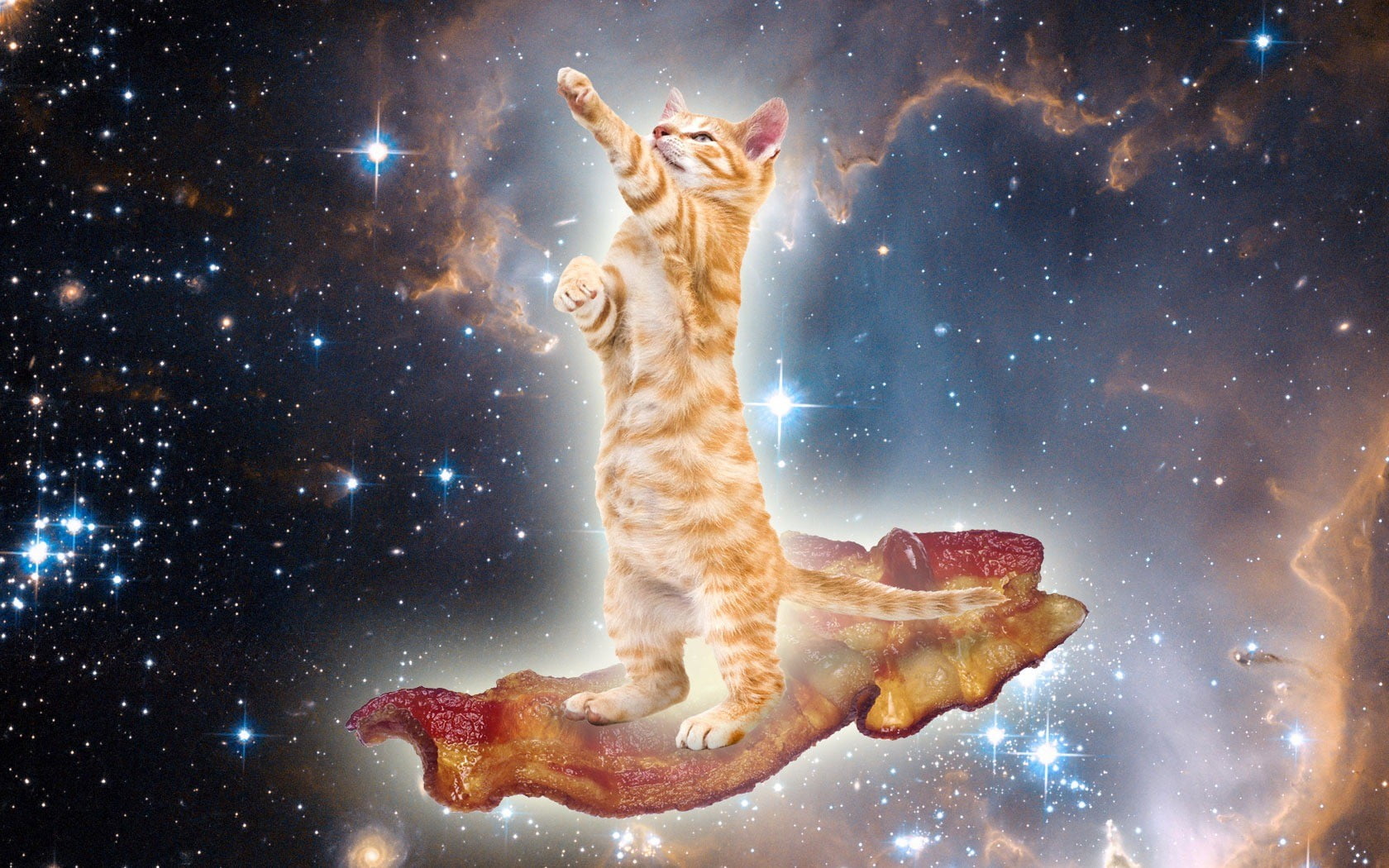 surreal, cloud - sky, animals, bacon, sky, animal themes, fantasy, digital composite, one animal, astronomy, no people, animal wildlife, space, cat, domestic animals, HD Wallpaper