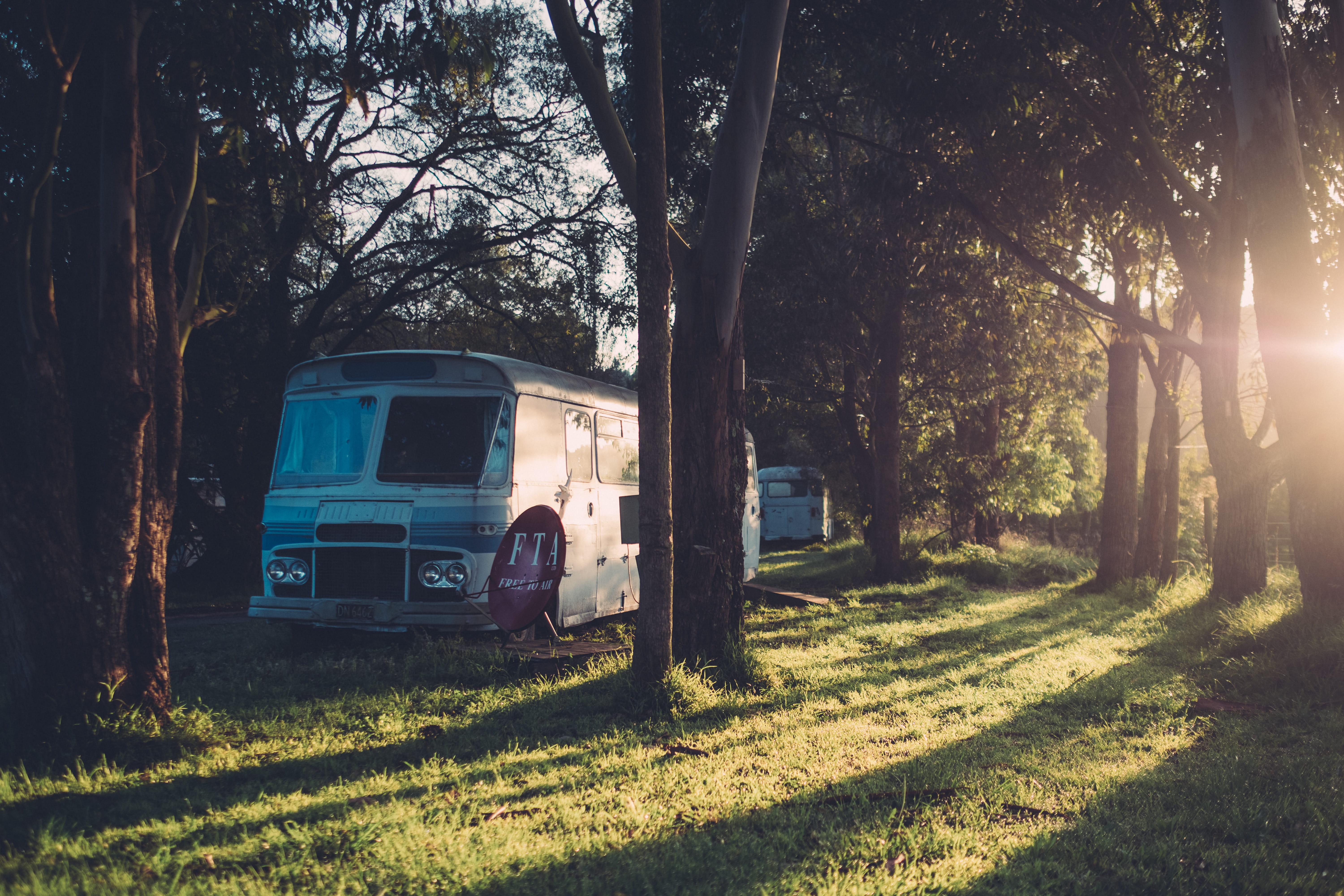 5K, tree, no people, shadow, camping, sky, growth, nature, transportation, trunk, sunrise, land, field, newzealand, mode of transportation, forest, land vehicle, HD Wallpaper