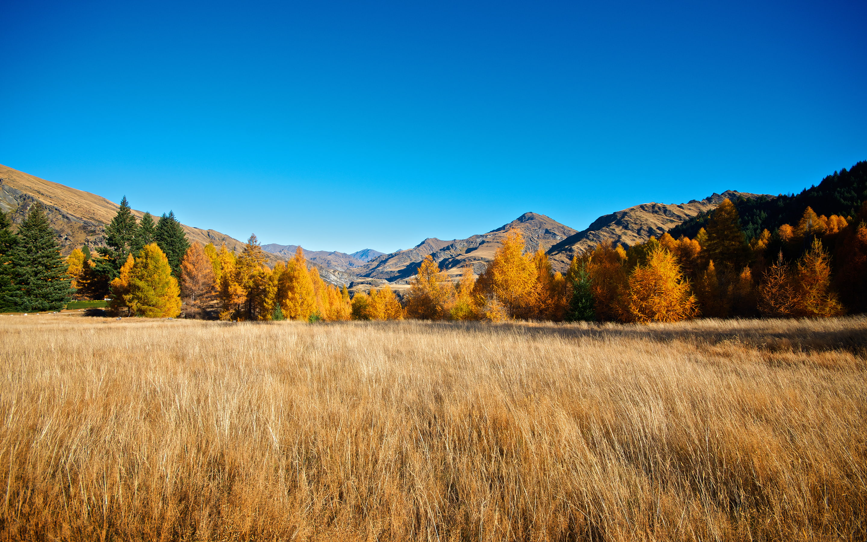 nikond7000, copy space, tranquil scene, nikon, environment, 2K, blue, land, skippers, mountain range, landscape, autumn, tranquility, grass, sigma10‑20mmf4‑5.6exdchsm, HD Wallpaper