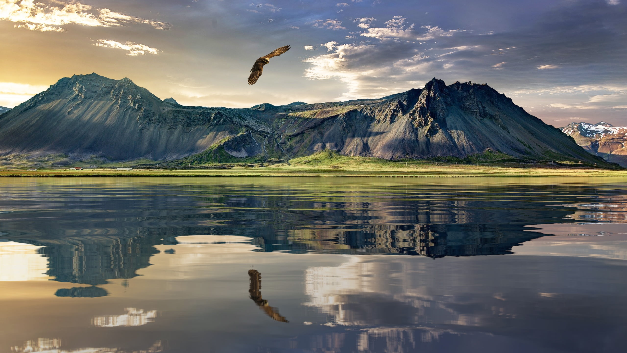 new zealand, scenics - nature, water, no people, nature, sky, animal themes, mountain, animal, 2K, mountains, heaven, idyllic, mountain range, daytime, HD Wallpaper