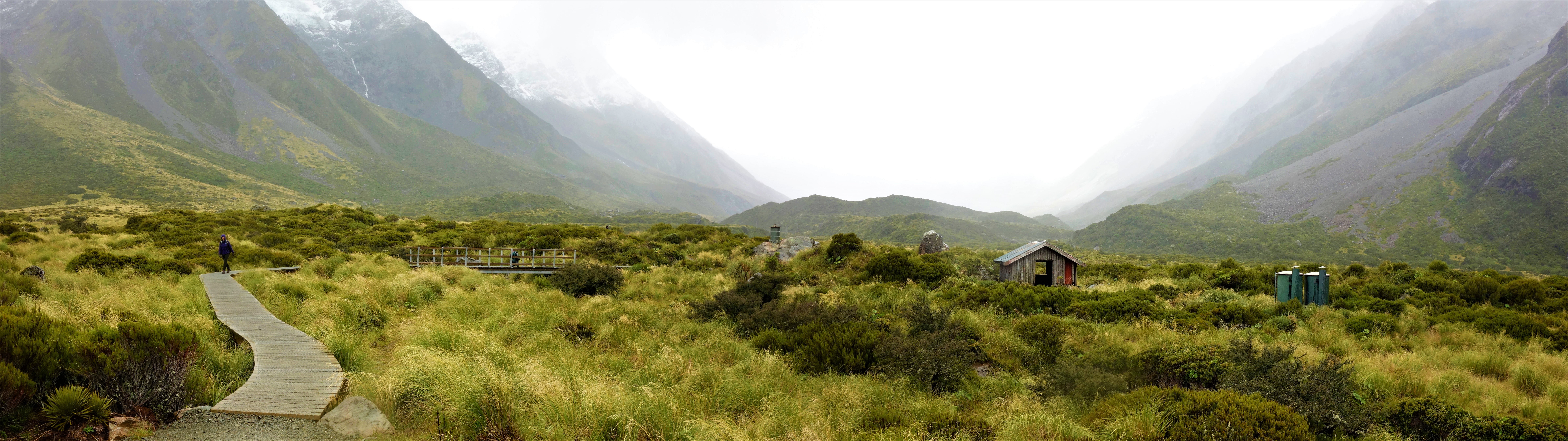 scenics - nature, activity, nature, 8K, mountains, day, outdoors, grass, panoramic, tranquility, mountain, tree, New Zealand, Mt Cook, sky, environment, HD Wallpaper