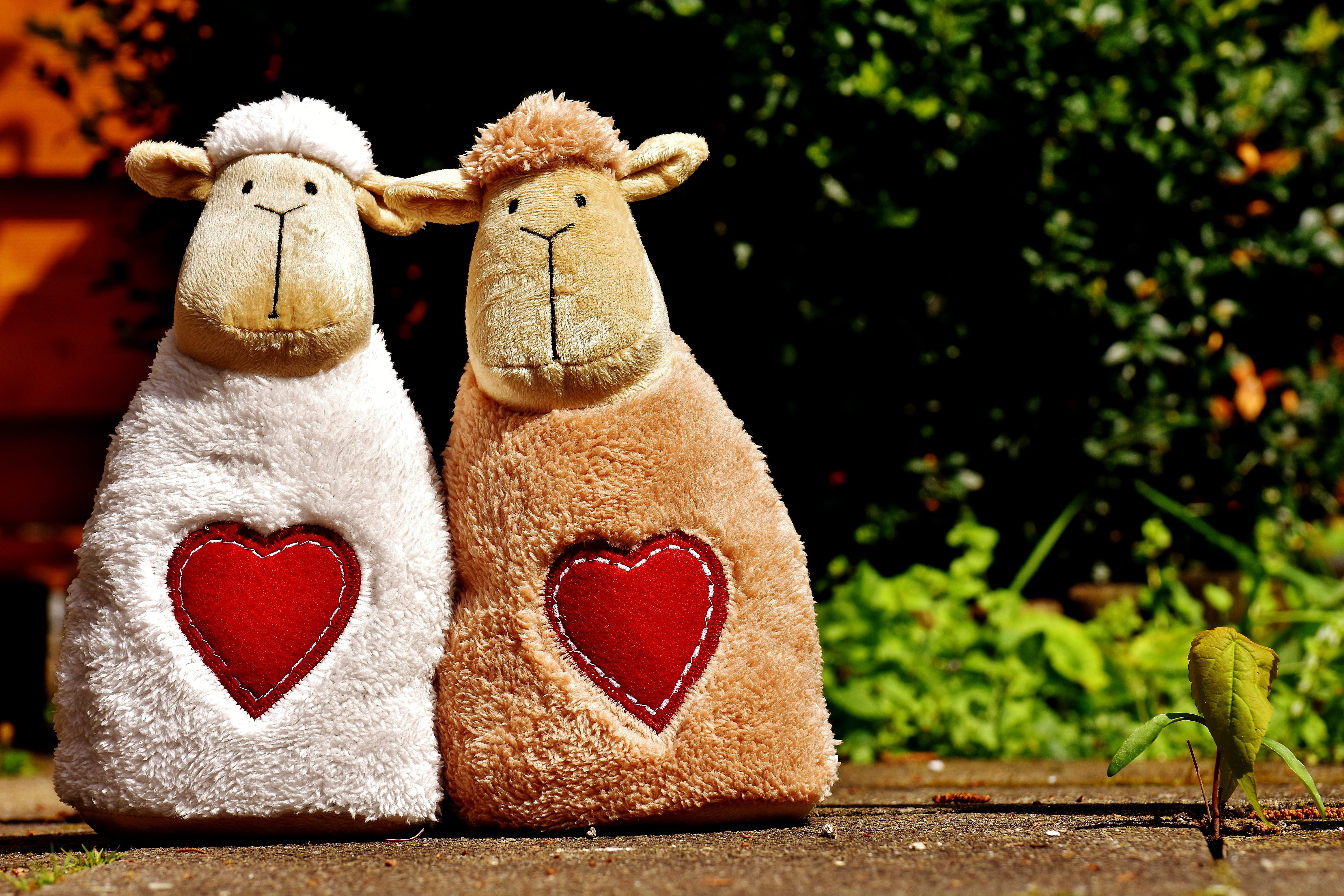 brown, creativity, white, animal, tree, still life, luck, cute, stuffed toy, focus on foreground, red, representation, no people, sheep, friendship, heart, HD Wallpaper