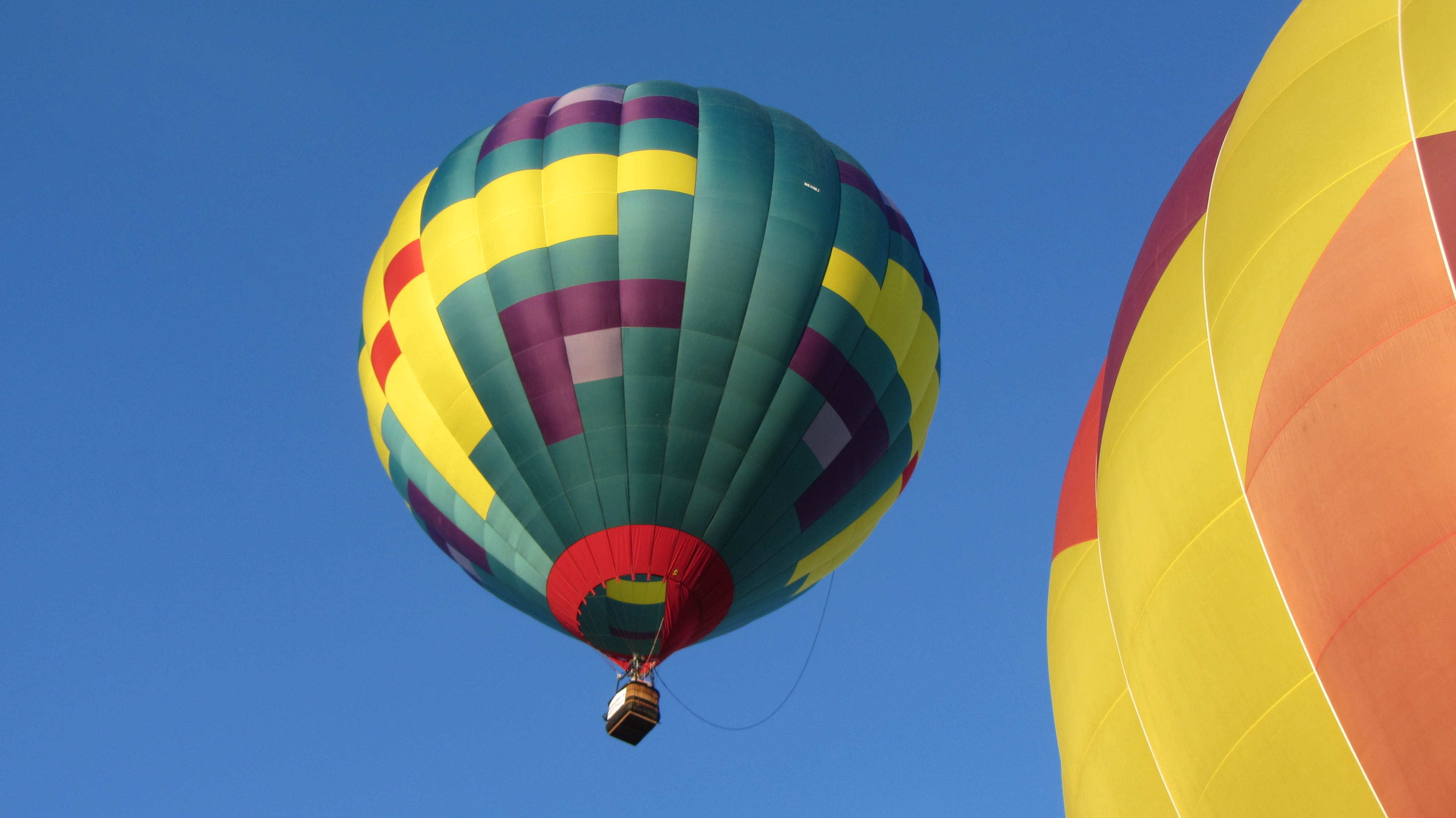 heaven, 4K, sport, inflating, extreme sports, multi colored, ballooning festival, mid-air, transportation, air sports, clear sky, day, air vehicle, freedom, HD Wallpaper