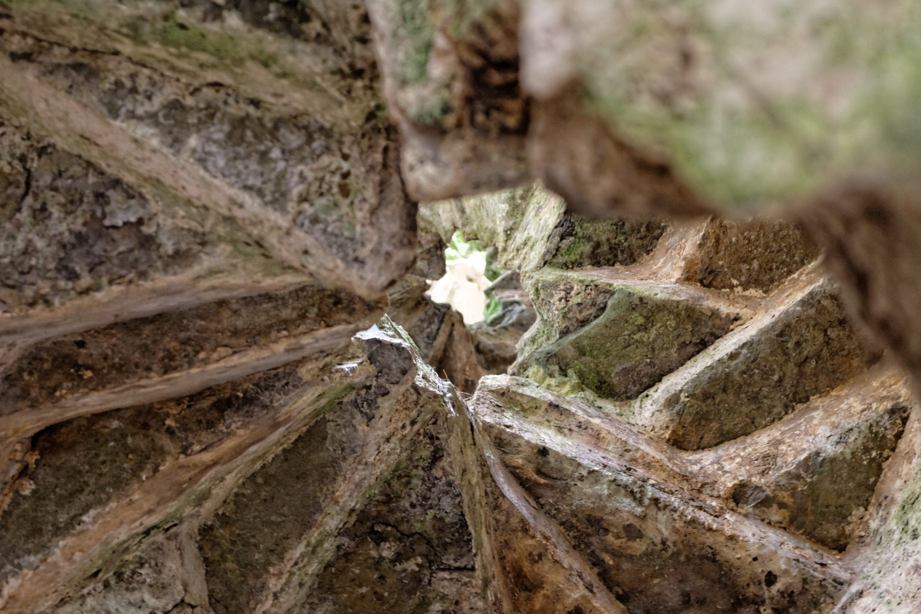 stone, tower, land, rock, nature, wales, moss, day, rock formation, textured, selective focus, descent, staircase, outdoors, solid, spiral, 2K, circular, HD Wallpaper