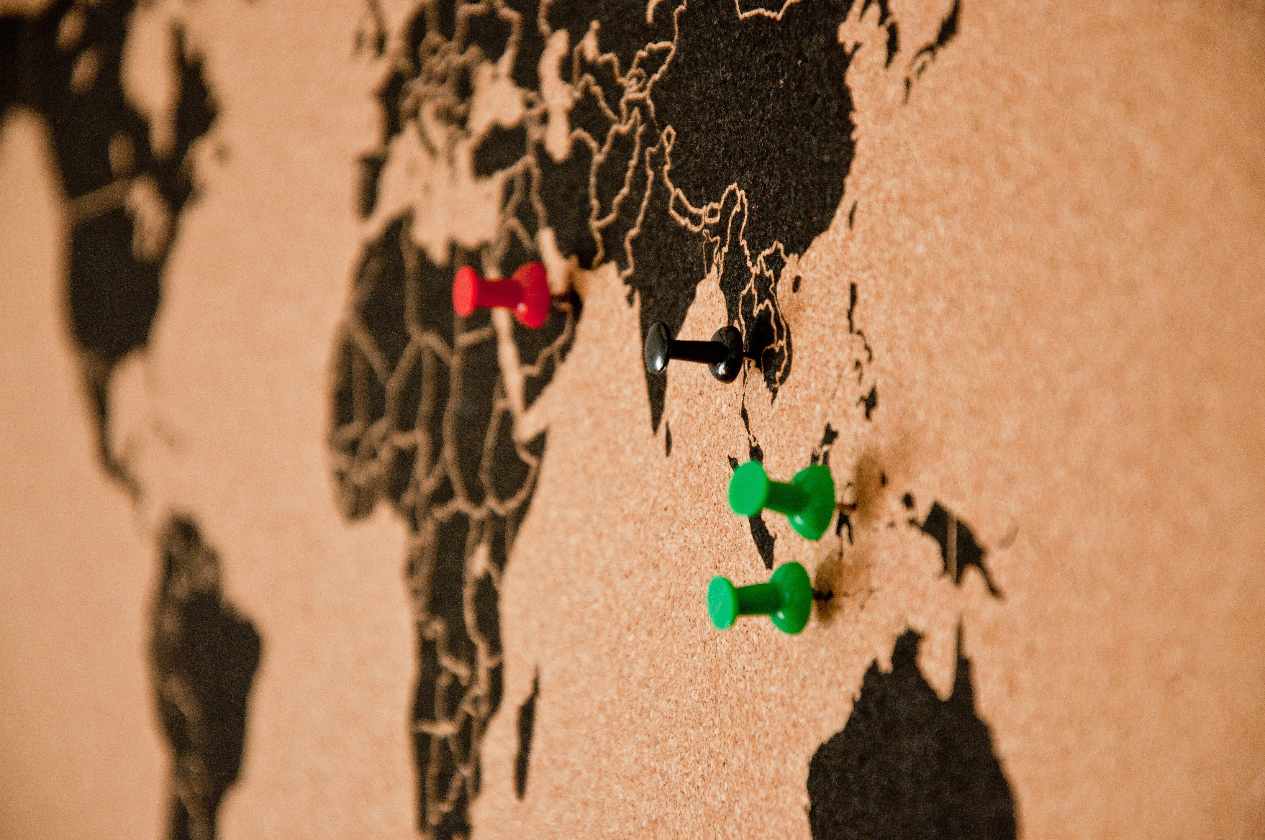 group of animals, focus on foreground, mammal, green color, textured, floral pattern, sunlight, pin, 4K, cork wall, full frame, pins, plug-in wall, animal, HD Wallpaper