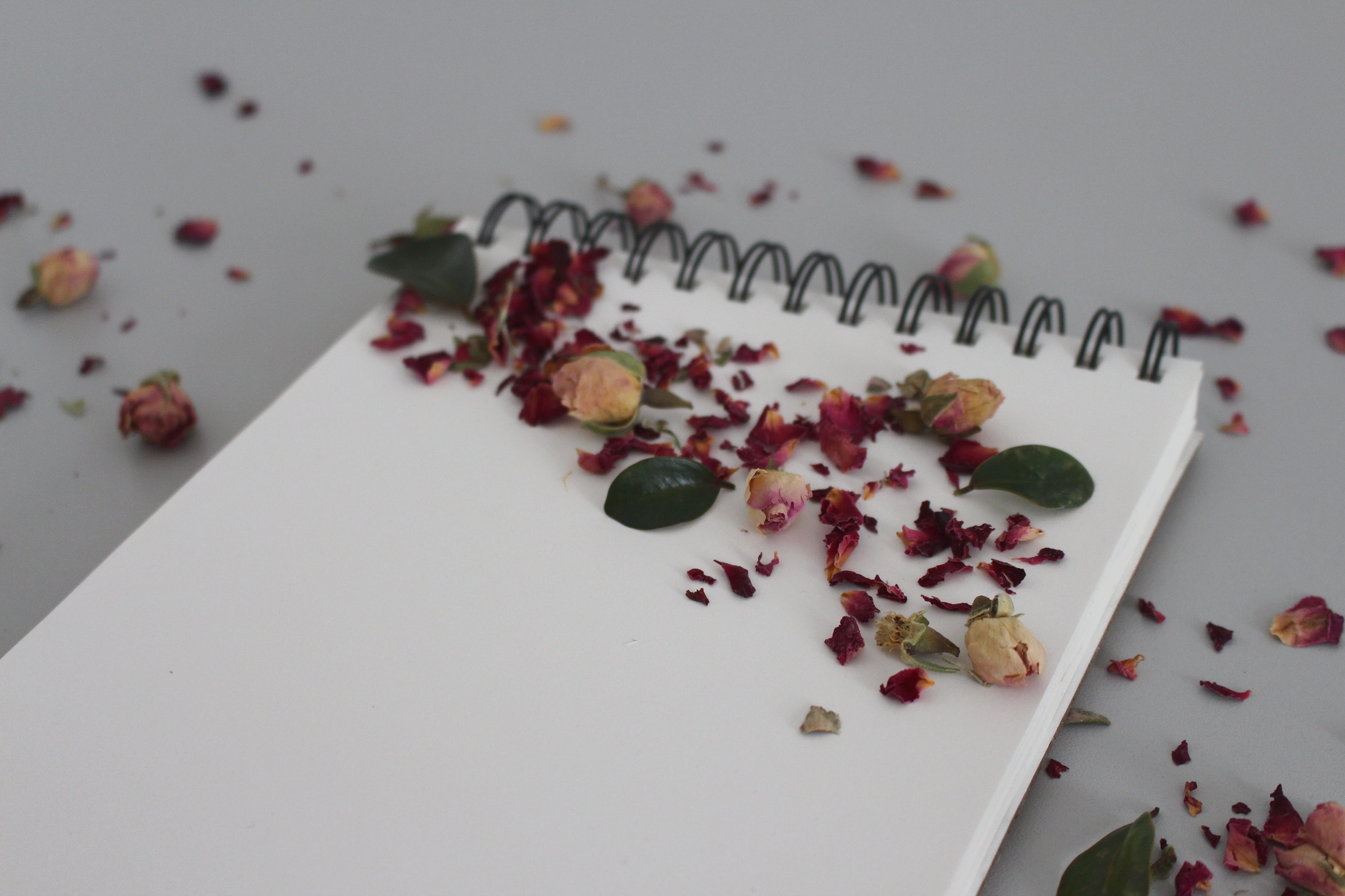 memo, write down, wellbeing, diary, freshness, communication, close-up, isolated, flower, lesson, message, flowers, still life, paper, food and drink, plant, HD Wallpaper