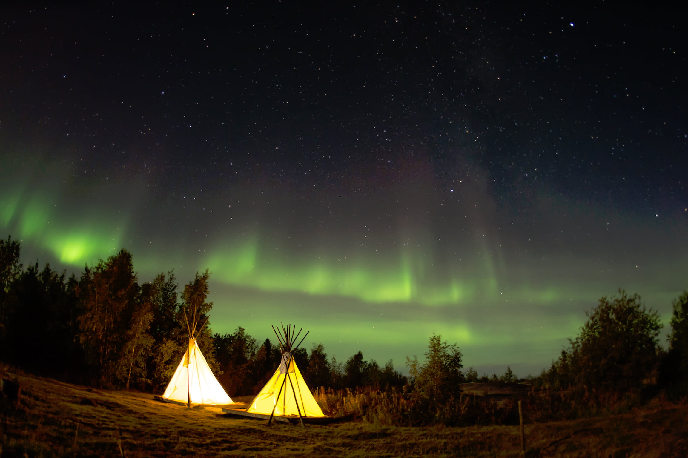 stars, scenics - nature, woods, forest, space, astronomy, constellation, no people, lights, trees, plant, sky, nature, galaxy, two, star, tent, dark, northern, HD Wallpaper