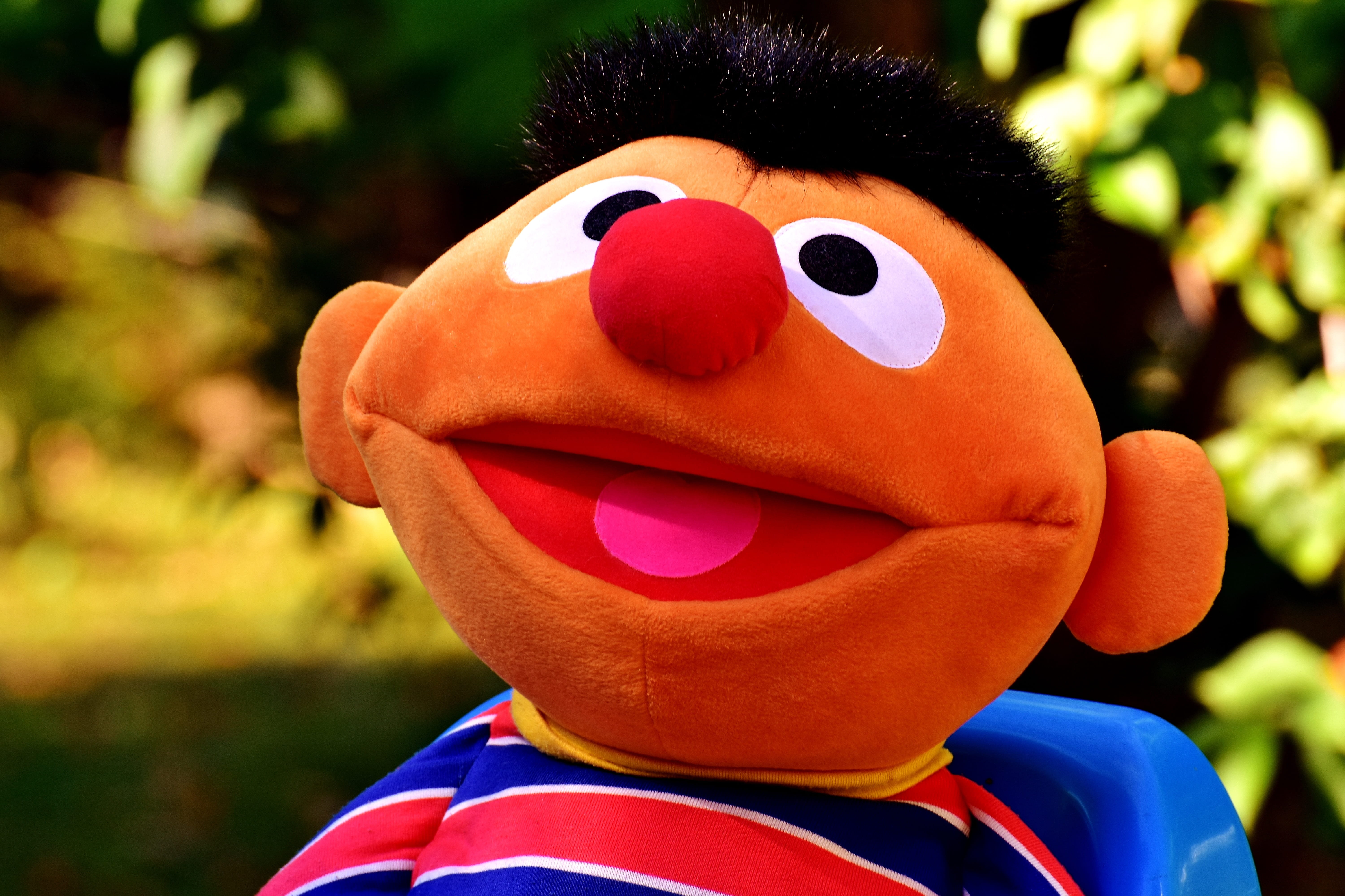 representation, humor, outdoors, funny, day, close-up, ernie, child, portrait, play, Plush, nature, orange color, plush figure, teddy bear, fun, creativity, HD Wallpaper