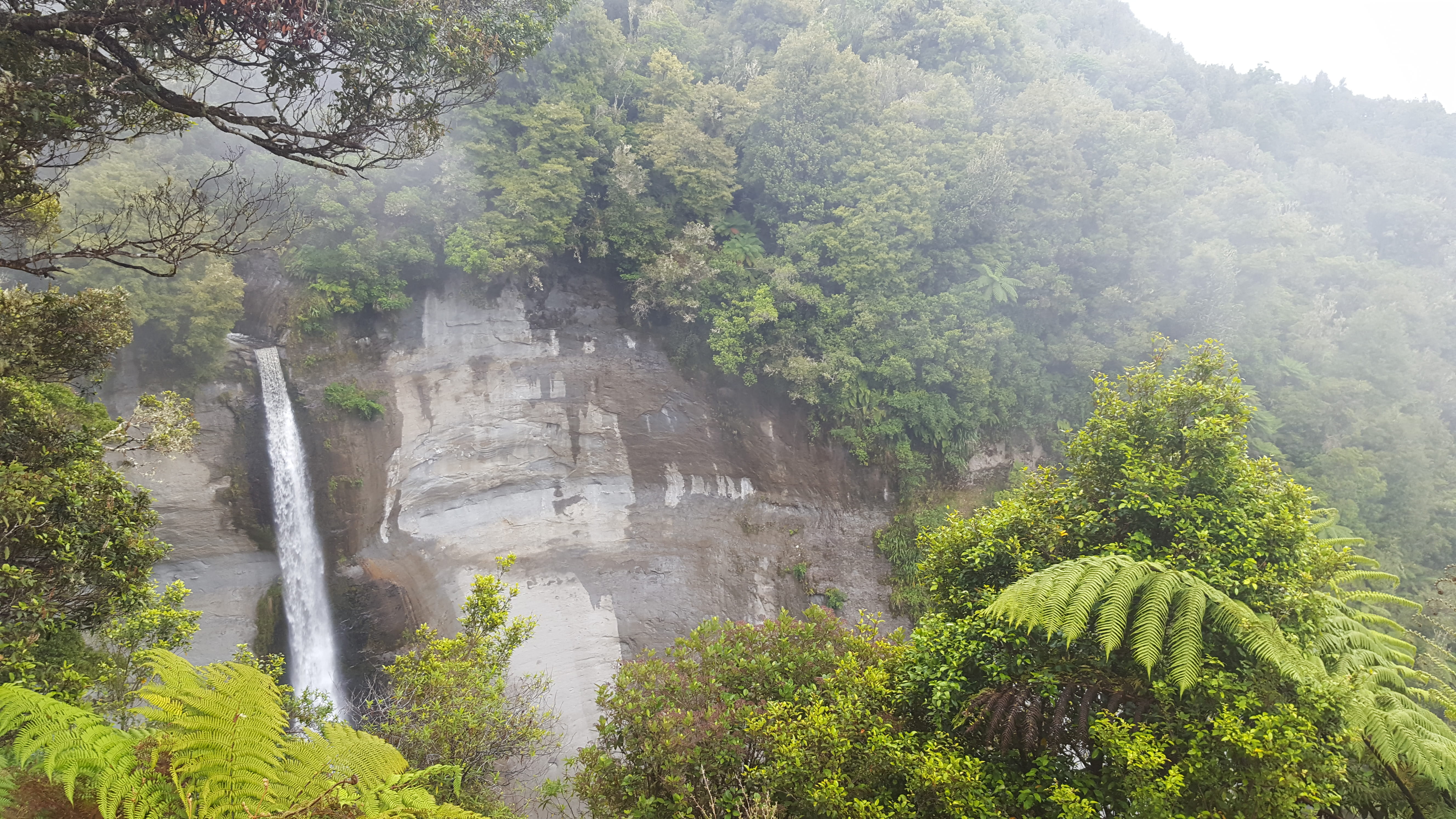 outdoors, waterfall, 5K, land, scenics - nature, cliff, tranquility, nature, formation, growth, foliage, green color, forest, beauty in nature, day, mount damper falls, HD Wallpaper