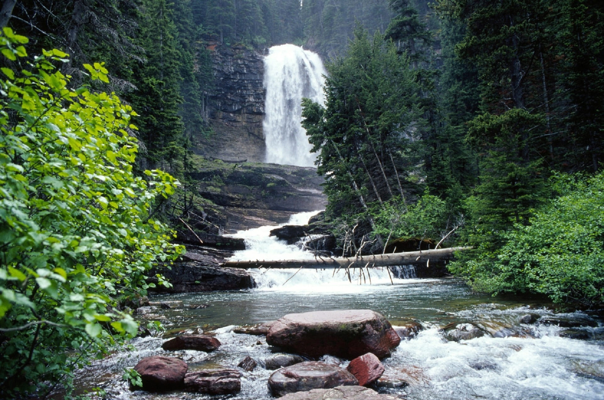 stream, water, scenery, rock, glacier national park, rock - object, virginia falls, surrounded, growth, forest, motion, waterfall, flowing, rocks, trees, HD Wallpaper