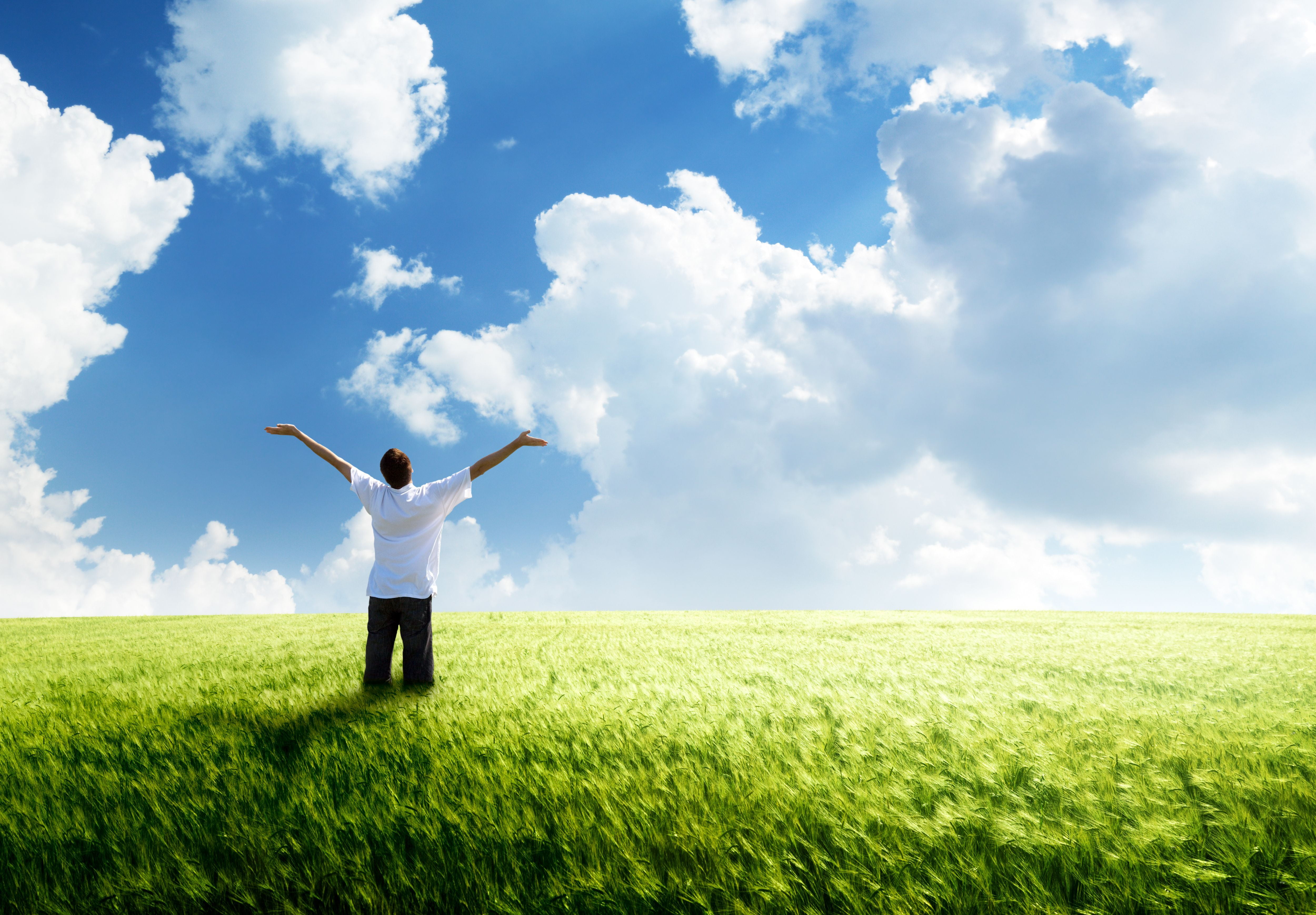 mood, the sky, fun, human arm, springtime, males, smiling, concepts, day, lifestyles, three quarter length, arms Raised, field, success, relaxation, wheat, HD Wallpaper