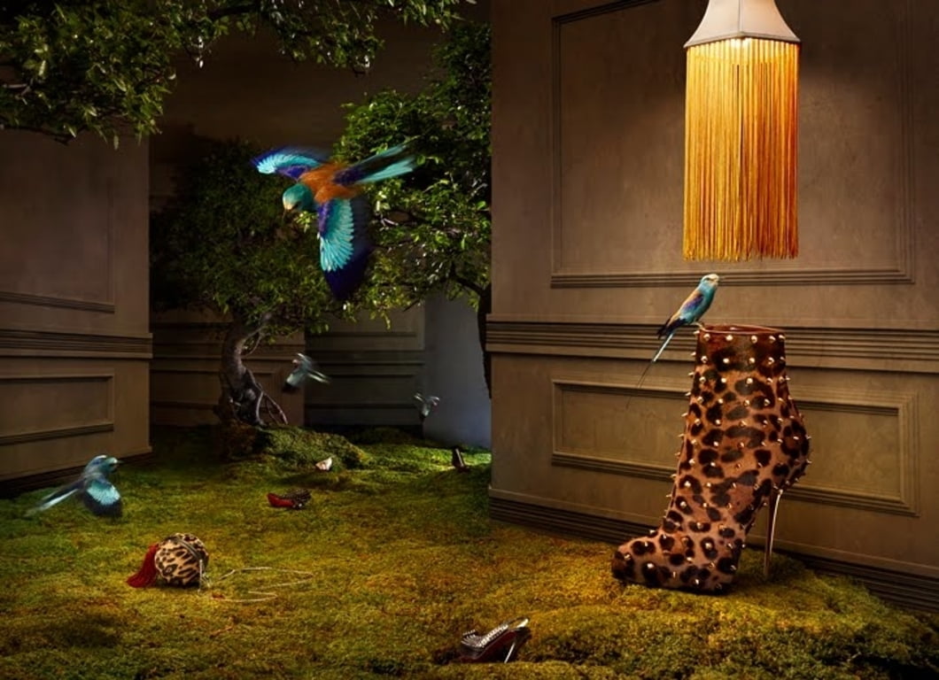 pets, animal themes, pasare, mammal, bird, creative, khoung nguyen, nature, plant, no people, louboutin, parrot, day, domestic, home interior, christmas, HD Wallpaper