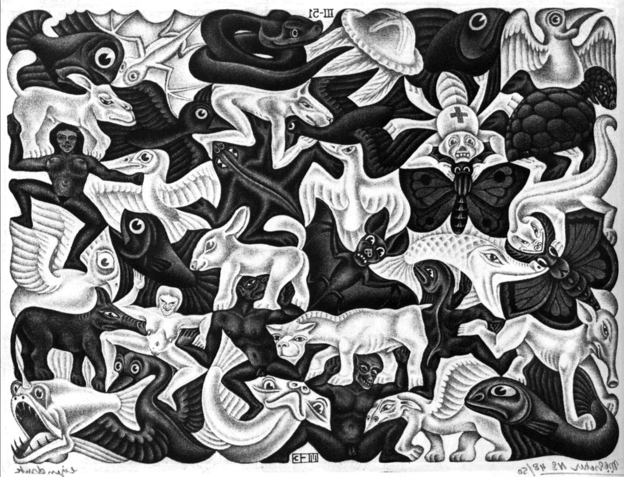 Optical Illusion, fish, m, monochrome, C++, Signatures, spider, illustration, artwork, bats, turtle, escher, birds, 720P, snake, butterfly, animals, drawing, HD Wallpaper