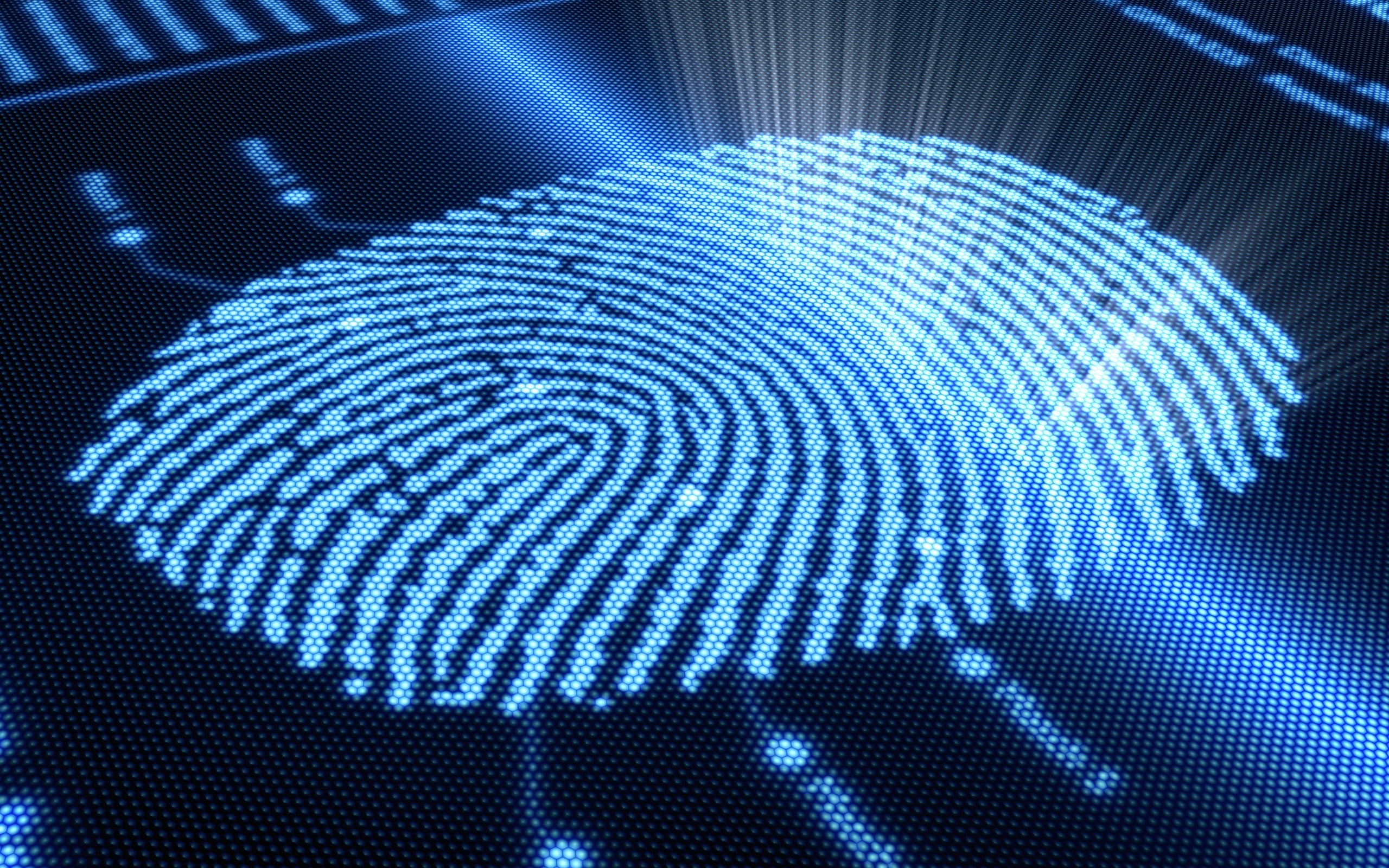 flowing, light - natural phenomenon, fingerprint, pattern, technology, futuristic, cyberspace, luminosity, internet, electronics, blue, science and technology, HD Wallpaper