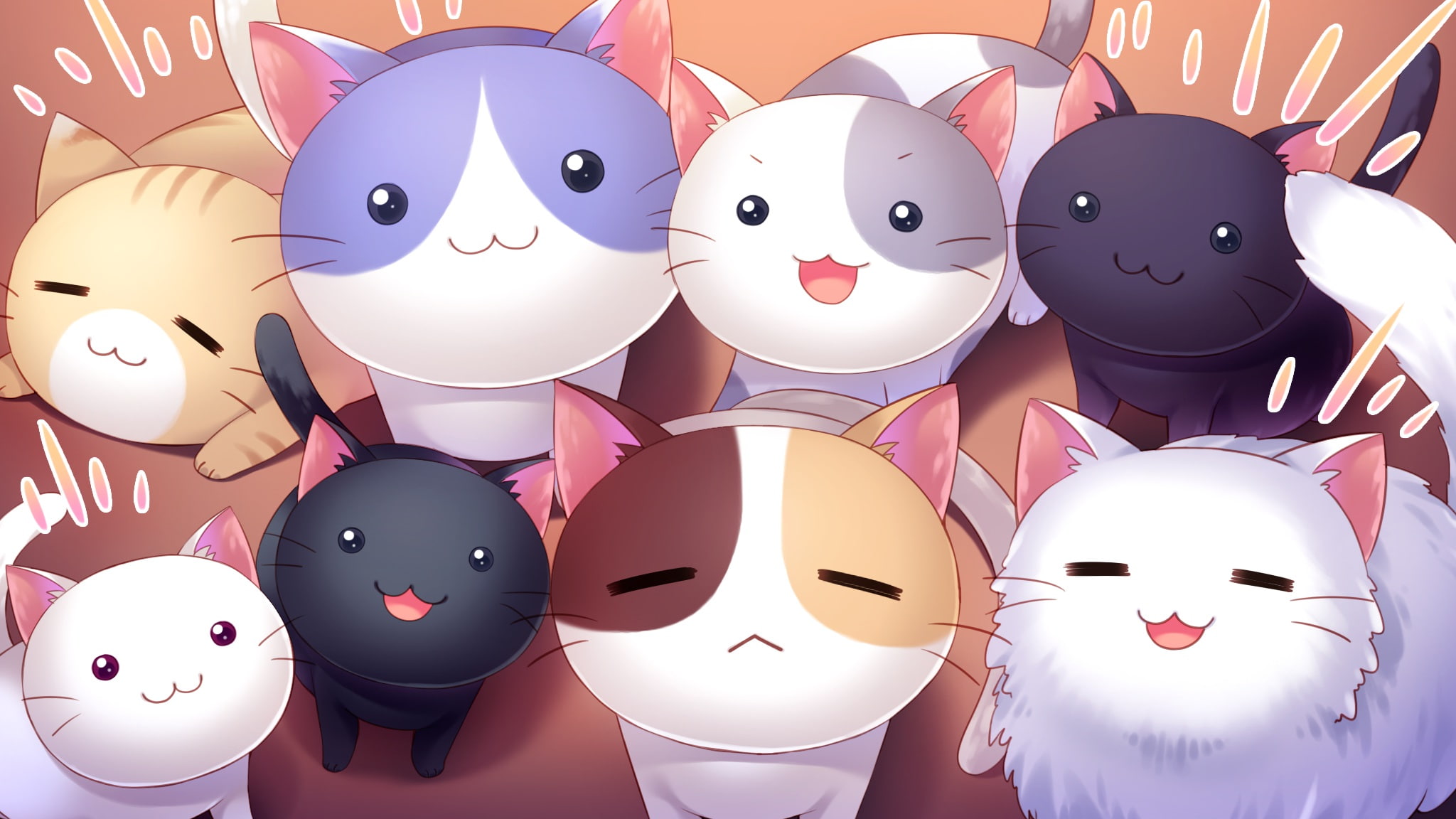 smile, macchiato, cat, 1080P, skyfish, cafe, game, animal, yukie, nyan, HD Wallpaper
