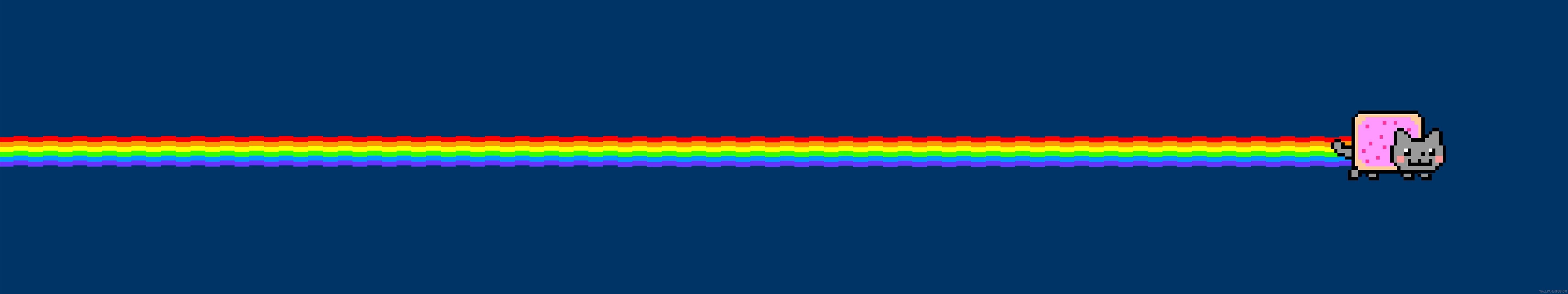 cat, monitor, multiple, multi, tripple, chat, nyan, humour, 5K, screen, HD Wallpaper