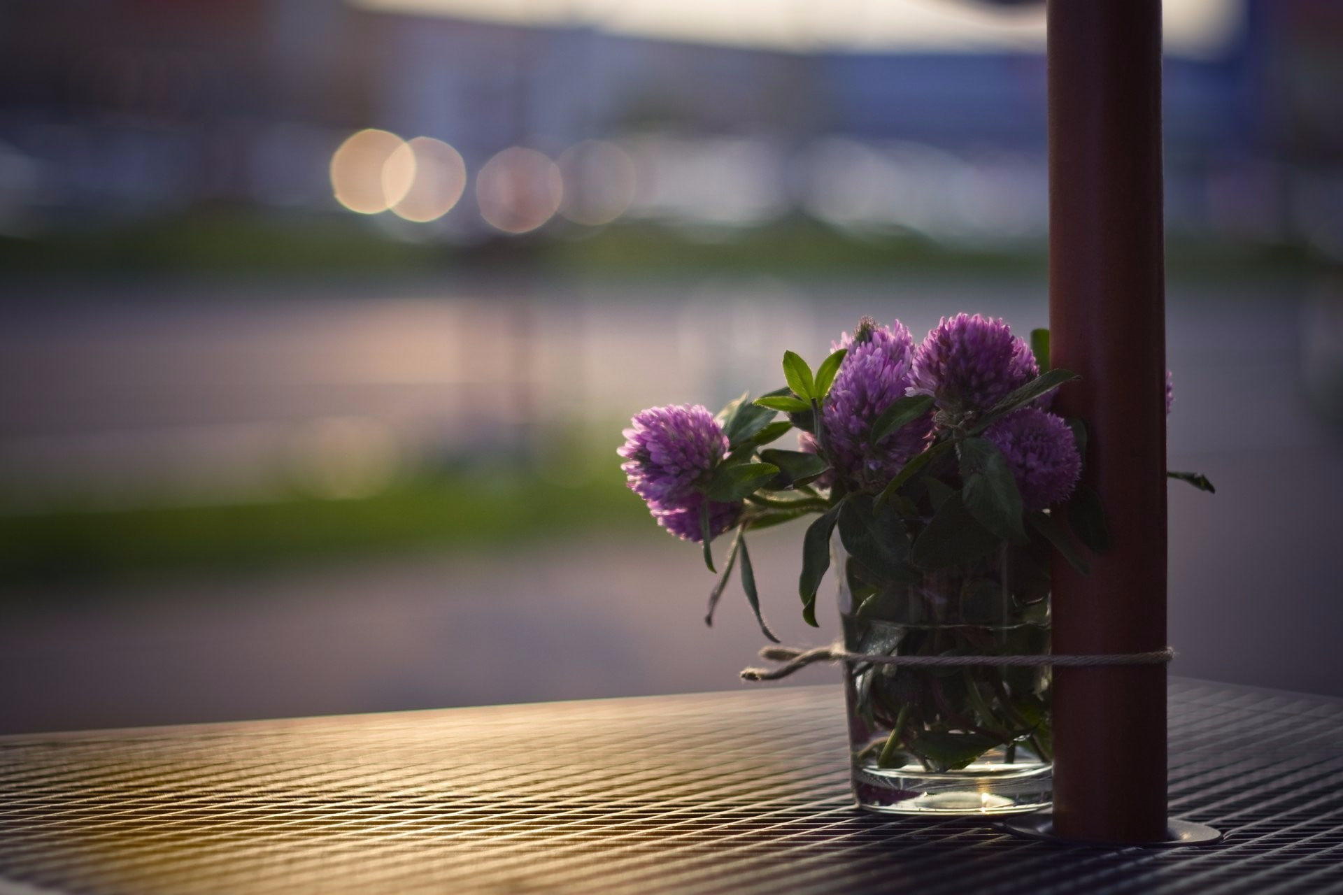 photography, sunlight, bokeh, cords, macro, leaves, 1080P, glass, HD Wallpaper