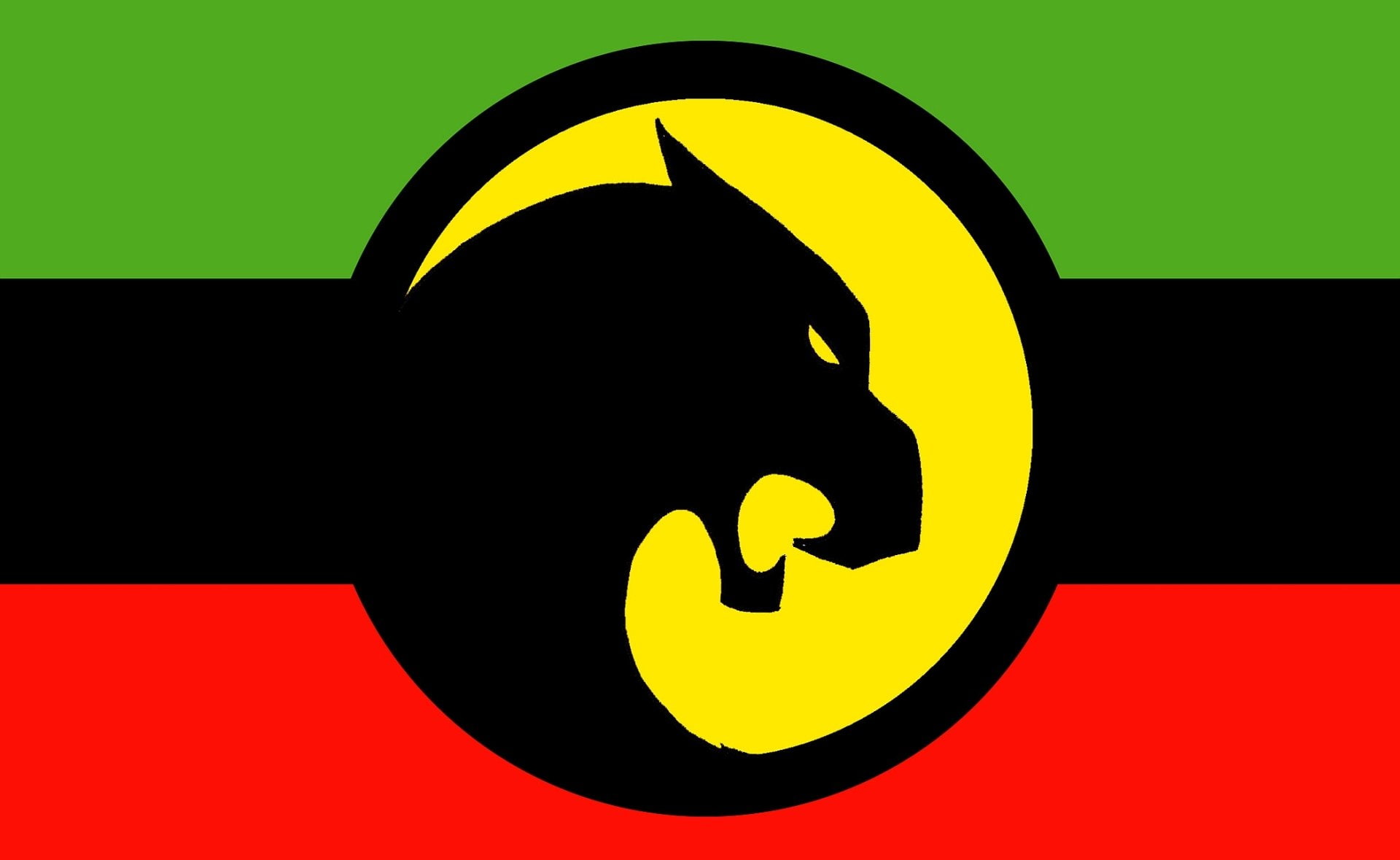 Flag of Wakanda, 1080P, Misc, HD Wallpaper