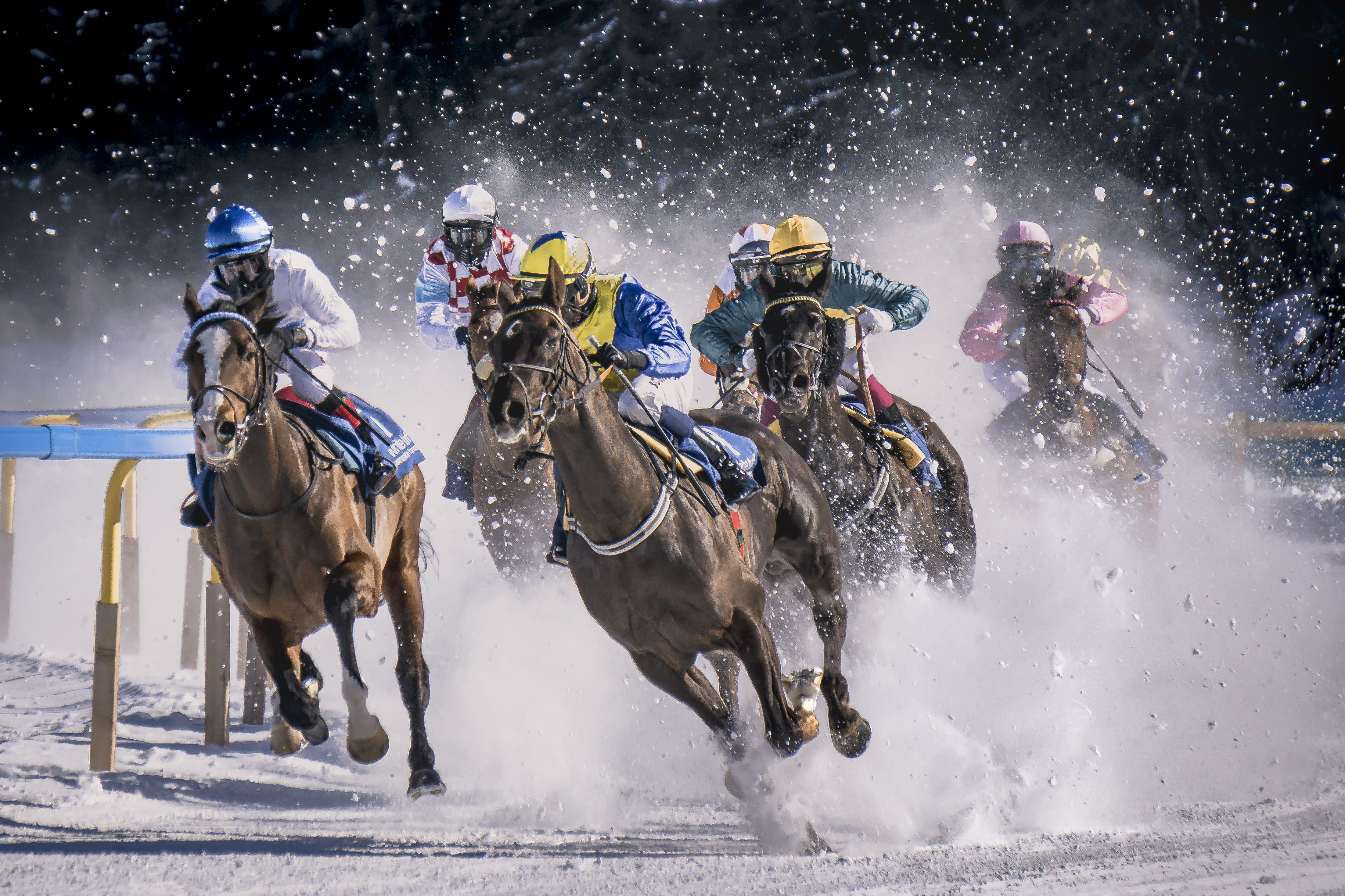 sport, extreme, season, animal, rider, fun, activity, effort, sports Track, outdoors, horse, recreational Pursuit, winter, men, people, snow, flat race, HD Wallpaper