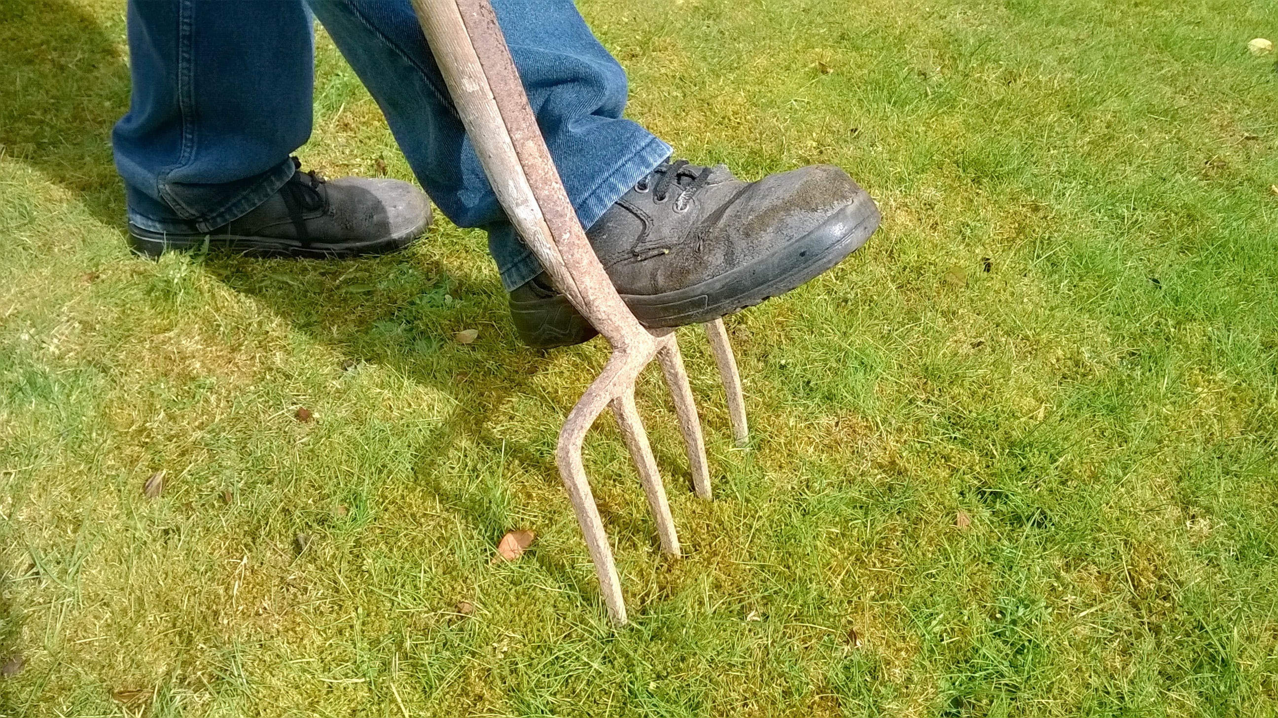 rake, real people, 2K, lawn, lifestyles, aerate, field, green, outdoors, photo, lawn maintenance, gardening, body part, outdoor, human body part, one person, HD Wallpaper
