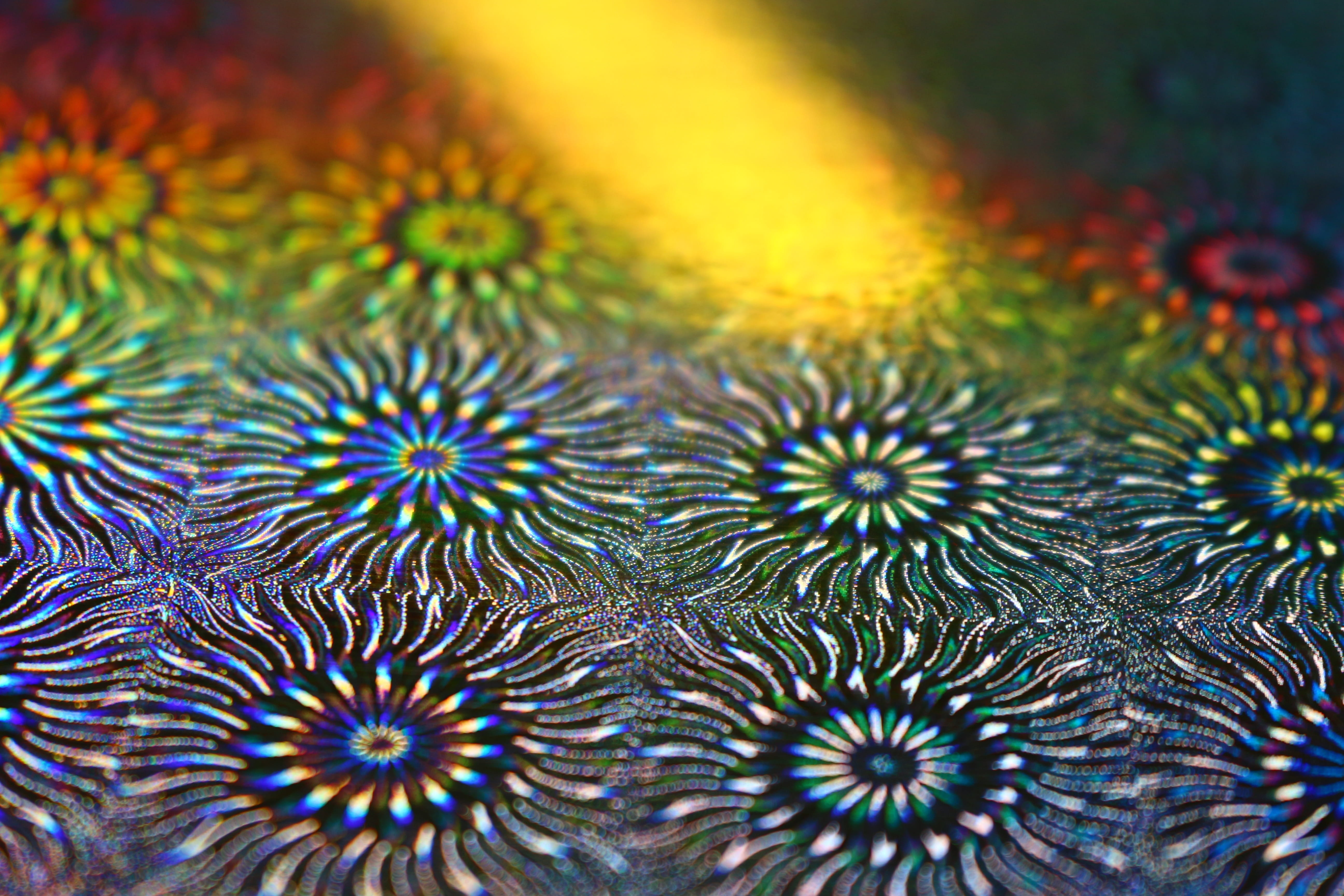 multi colored, 5K, no people, handicraft paper, backgrounds, geometric shape, nature, iridescent, outdoors, natural pattern, floral pattern, rainbow, extreme close-up, HD Wallpaper