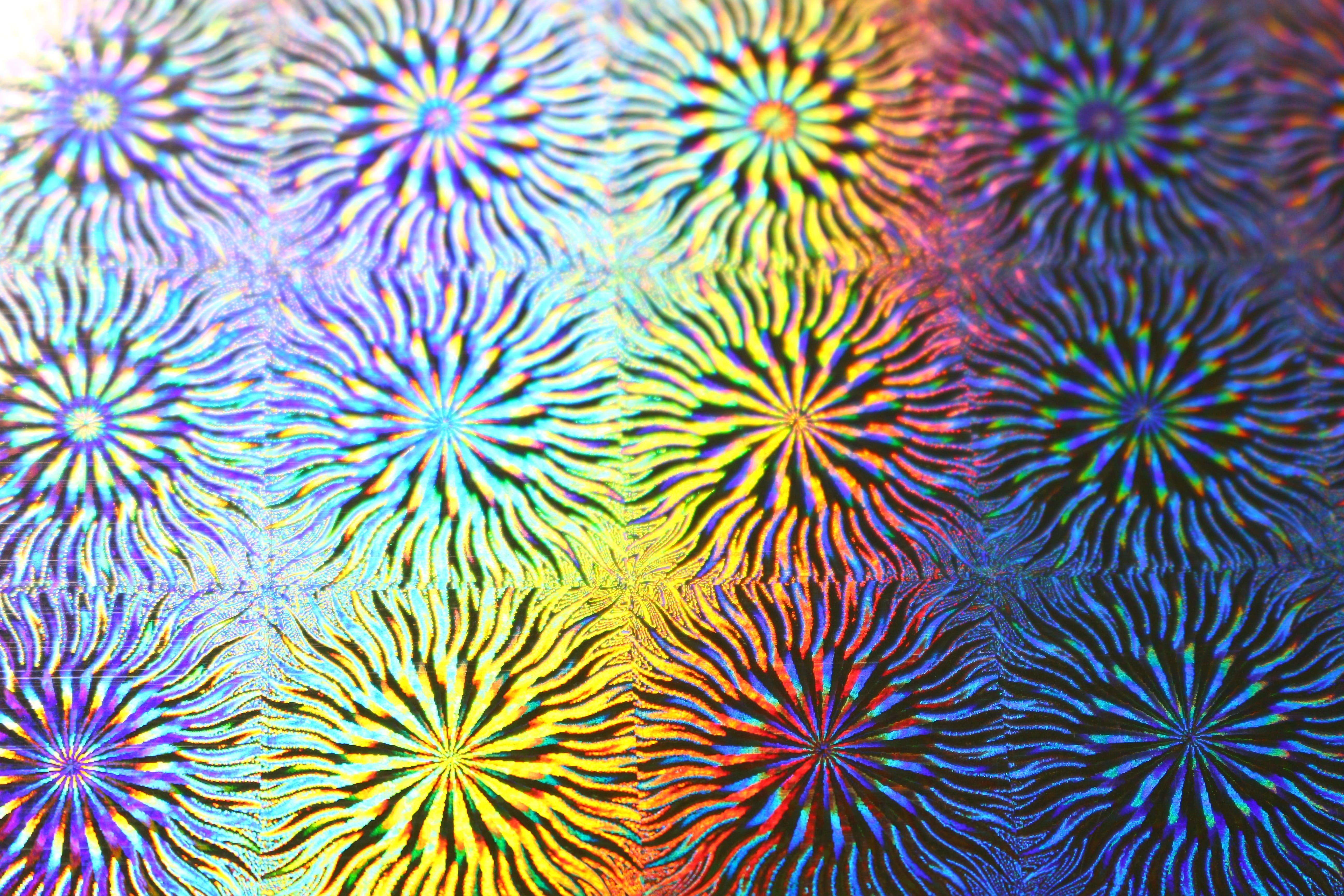 invertebrate, hologram, marine, beauty in nature, 5K, handicraft paper, sea life, backgrounds, group of animals, rainbow, animal, coral, close-up, water, HD Wallpaper