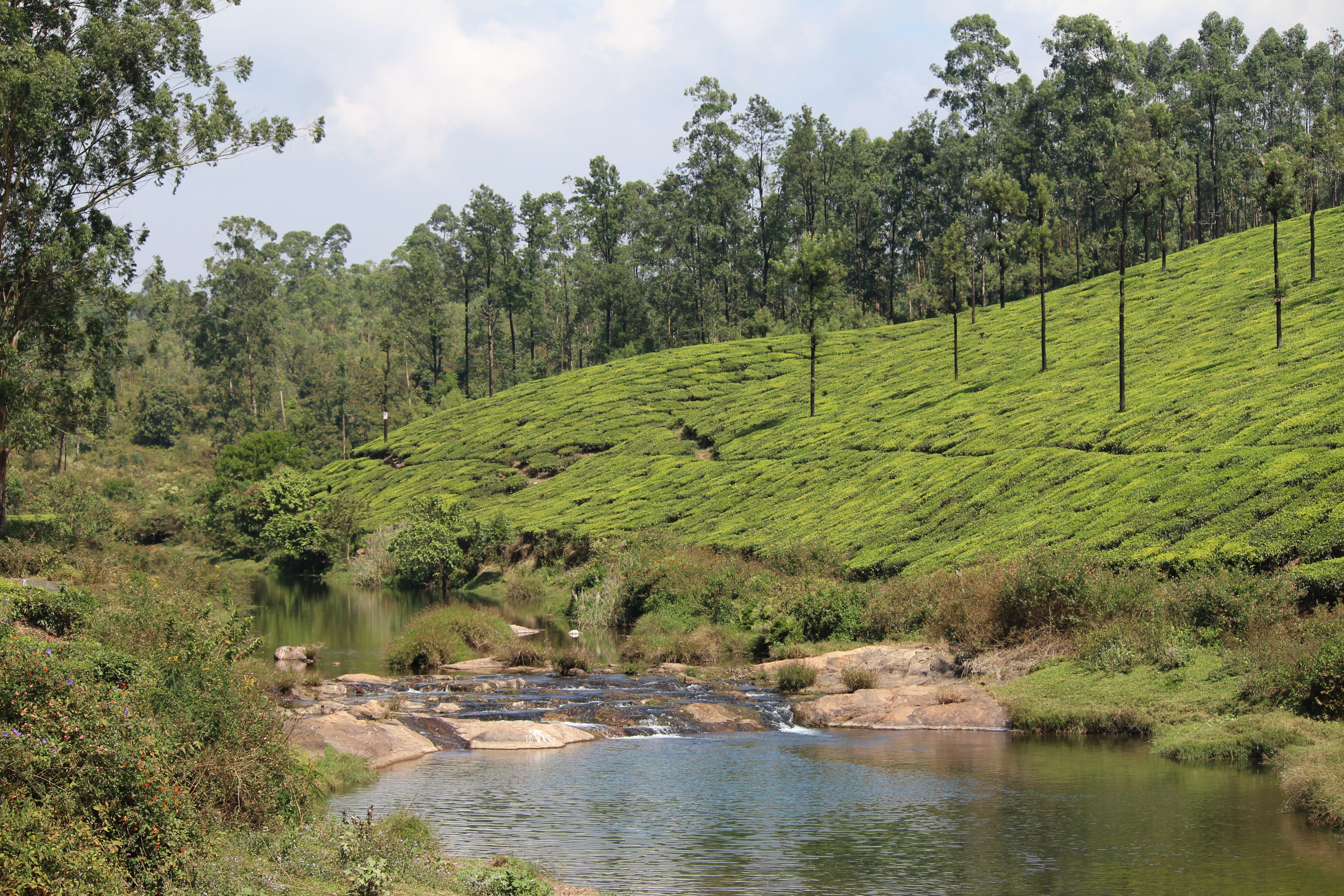 landscape, tranquility, sky, river, tranquil scene, nature, land, water, beauty in nature, tamilndu, riverside, scenics - nature, tea, plant, estate, green color, HD Wallpaper