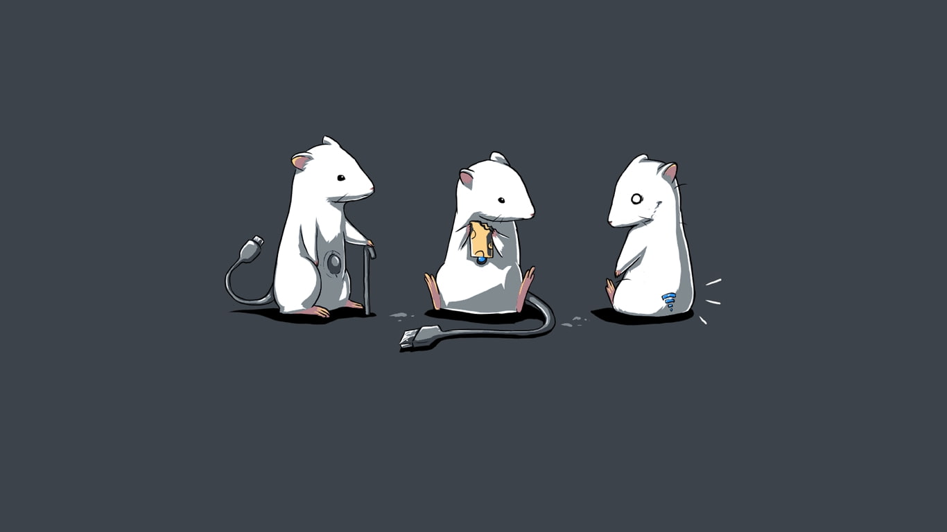 mice, funny, animals, usb, entertainment, hd, x, cord, white, 720P, cheese, rats, simplistic, art, HD Wallpaper
