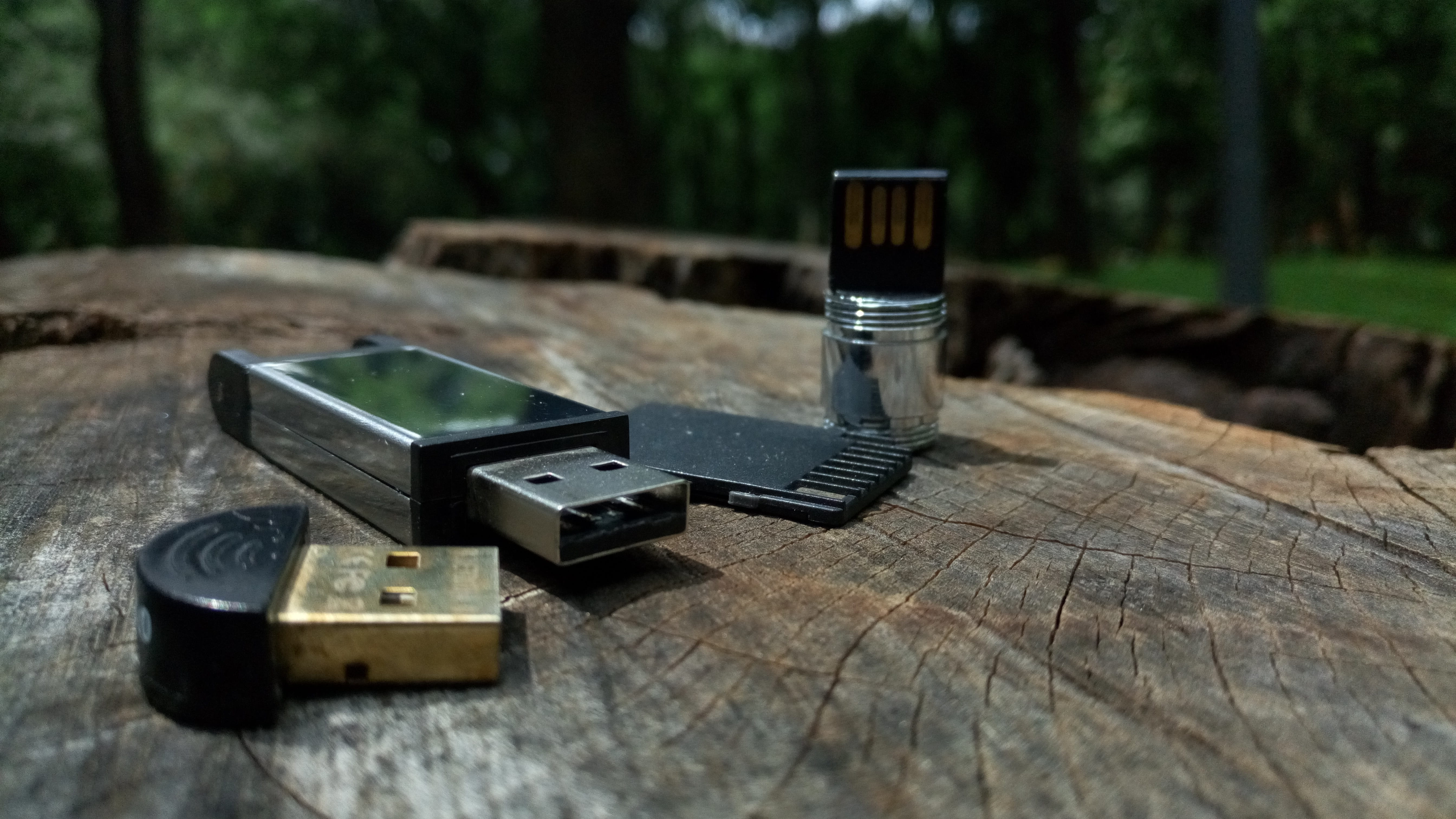 forest, wood, 5K, high angle view, nature, arts culture and entertainment, technology, day, outdoors, no people, woodland, food and drink, close-up, usb, HD Wallpaper