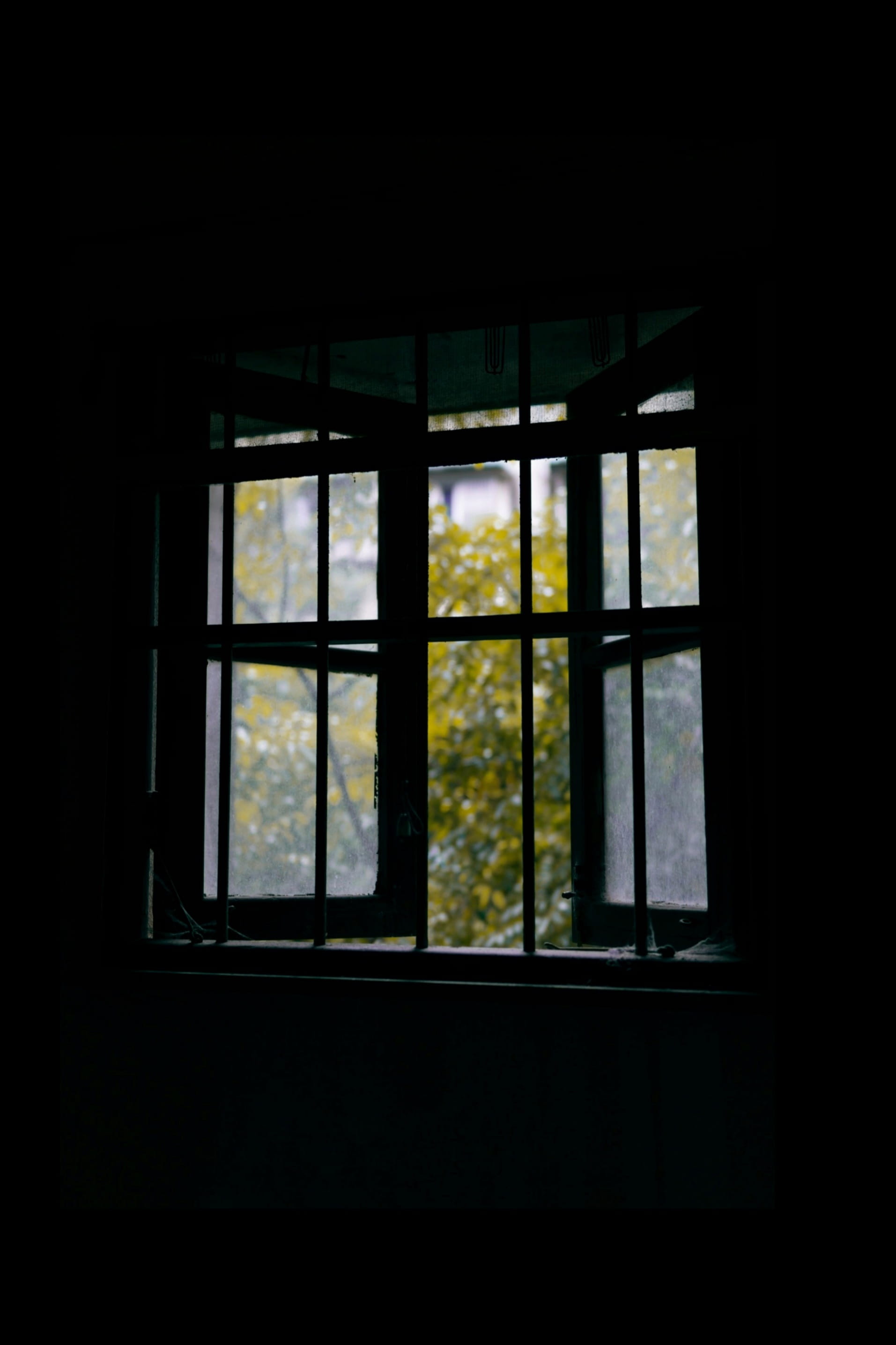 open, spoke, indoors, bush, plant, silhouette, coil, glass - material, home decor, 2K, flare, light, brick, opened, machine, building, curtain, dark, window shade, Phone HD Wallpaper