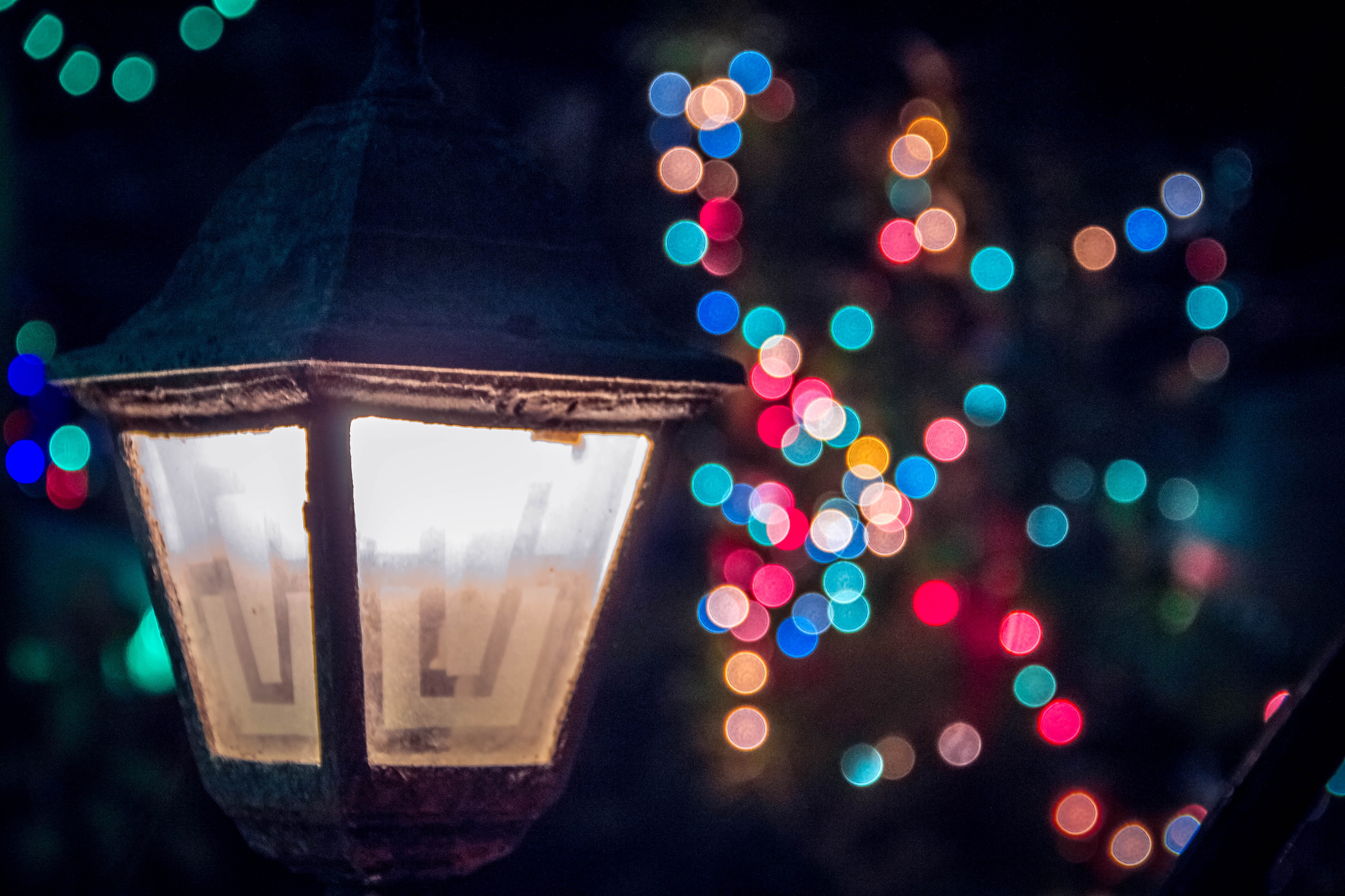 glowing, christmas, illuminated, hanging, christmas lights, photo, nighttime, city, 5K, close-up, focus on foreground, architecture, electricity, lamp, HD Wallpaper