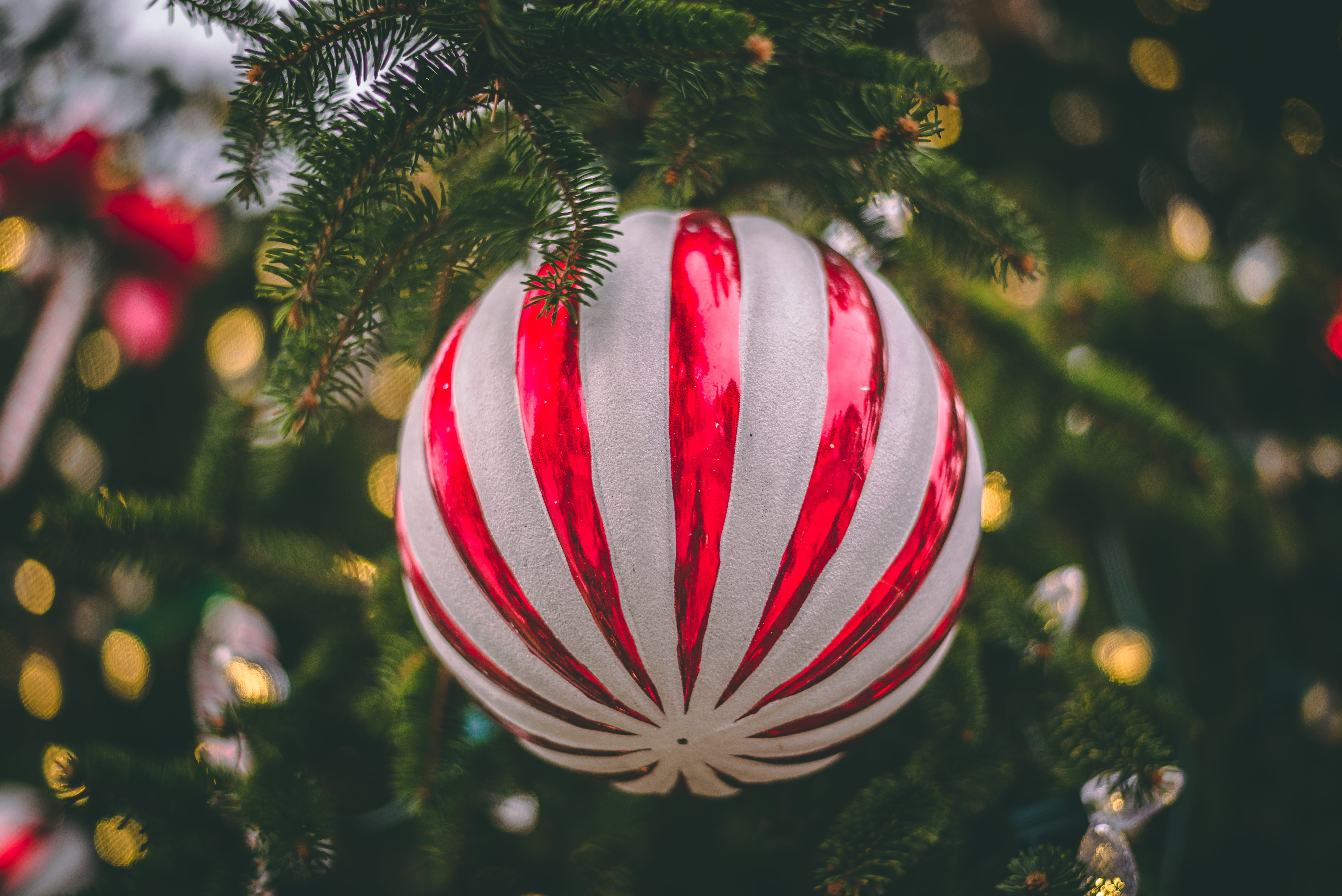 christmas, bokeh, colors, coniferous tree, holiday, close-up, plant, striped, 5K, blurred background, glisten, christmas tree, hanging, lights, leaves, HD Wallpaper
