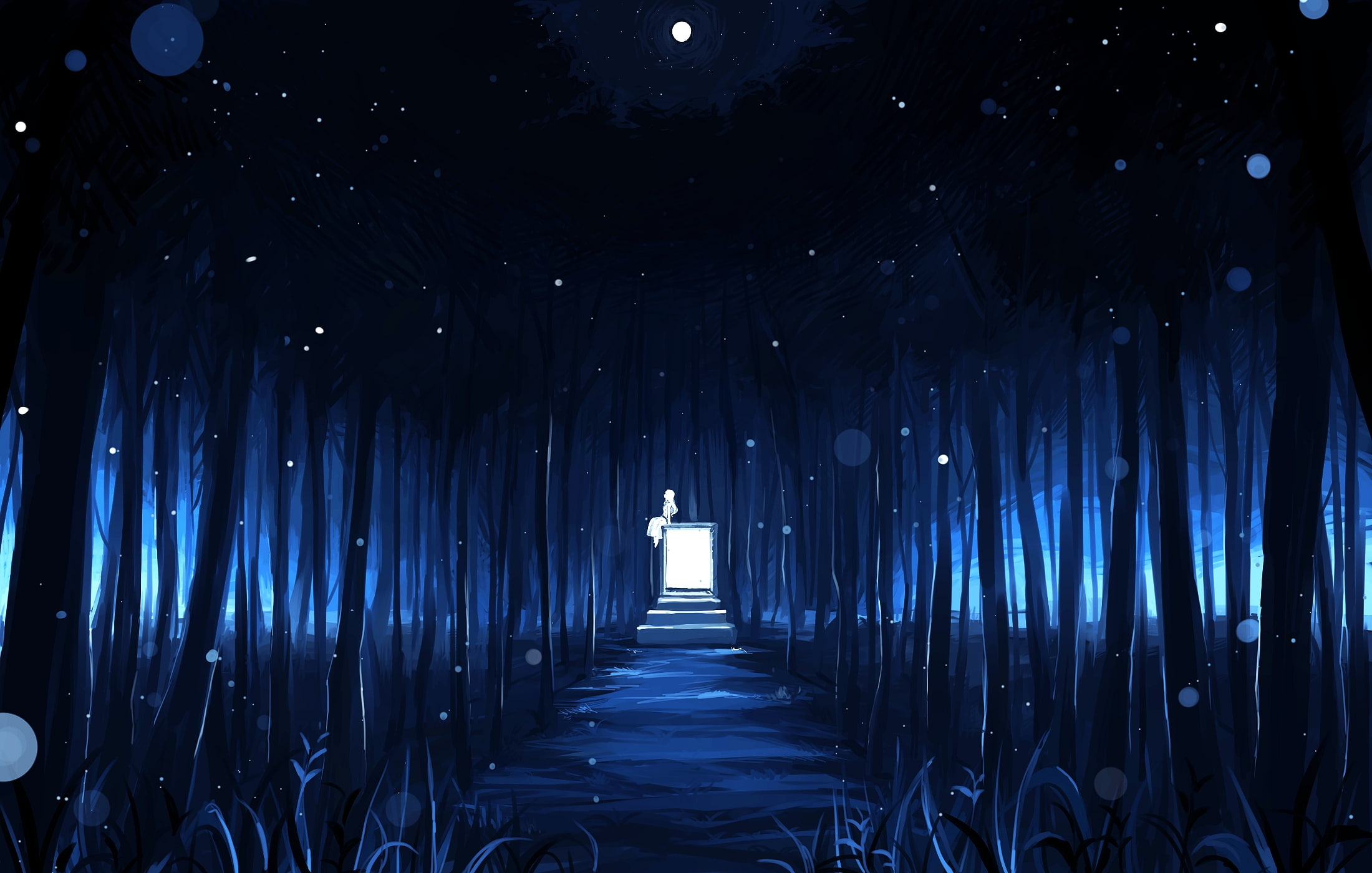1080P, dark forest, anime landscape, built structure, lighting equipment, night, nature, vanishing point, building, absence, light fixture, Anime, no people, HD Wallpaper